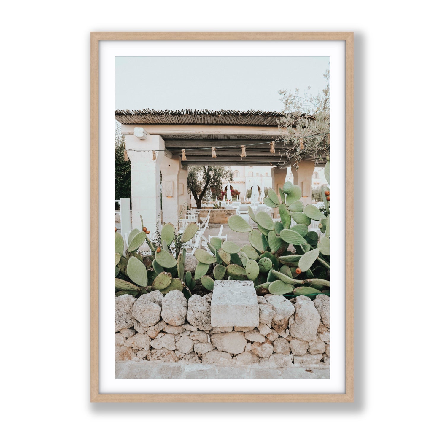 Puglia Flora Puglia Borgo Egnazia Mediterranean wall art Gallery fine art print in natural oak frame with matboard