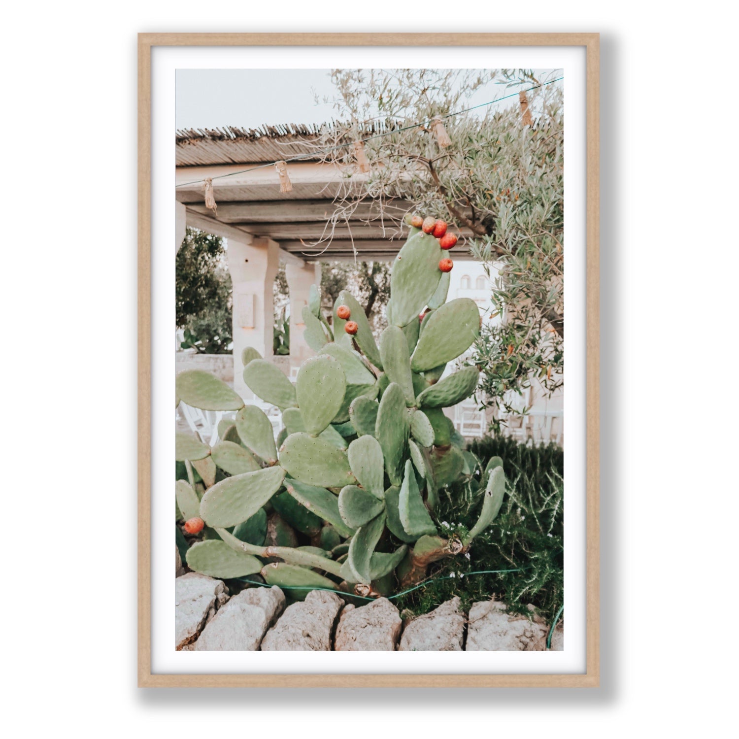 Opuntia Beauty Puglia wall art Statement fine art print in natural oak frame with matboard