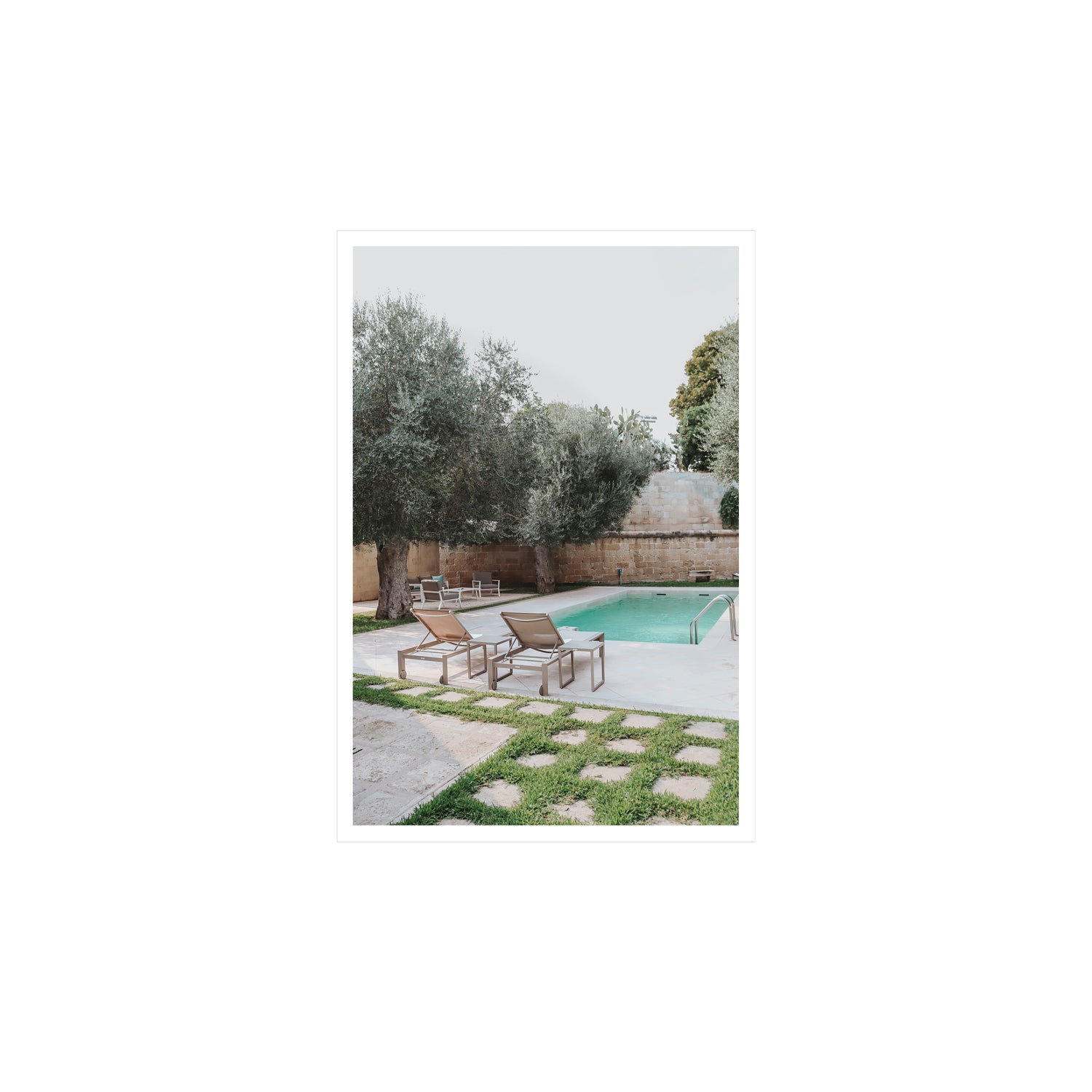 Olive Oasis