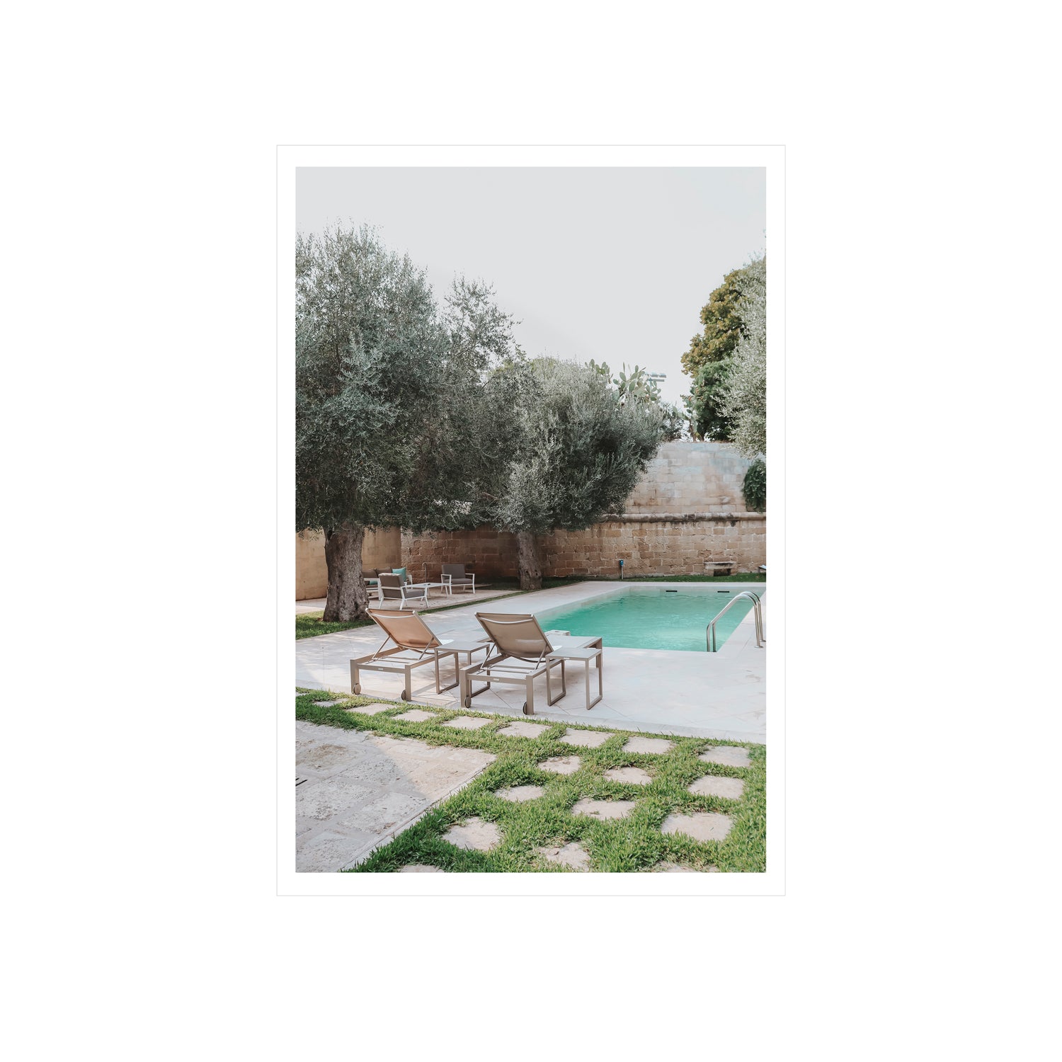 Olive Oasis