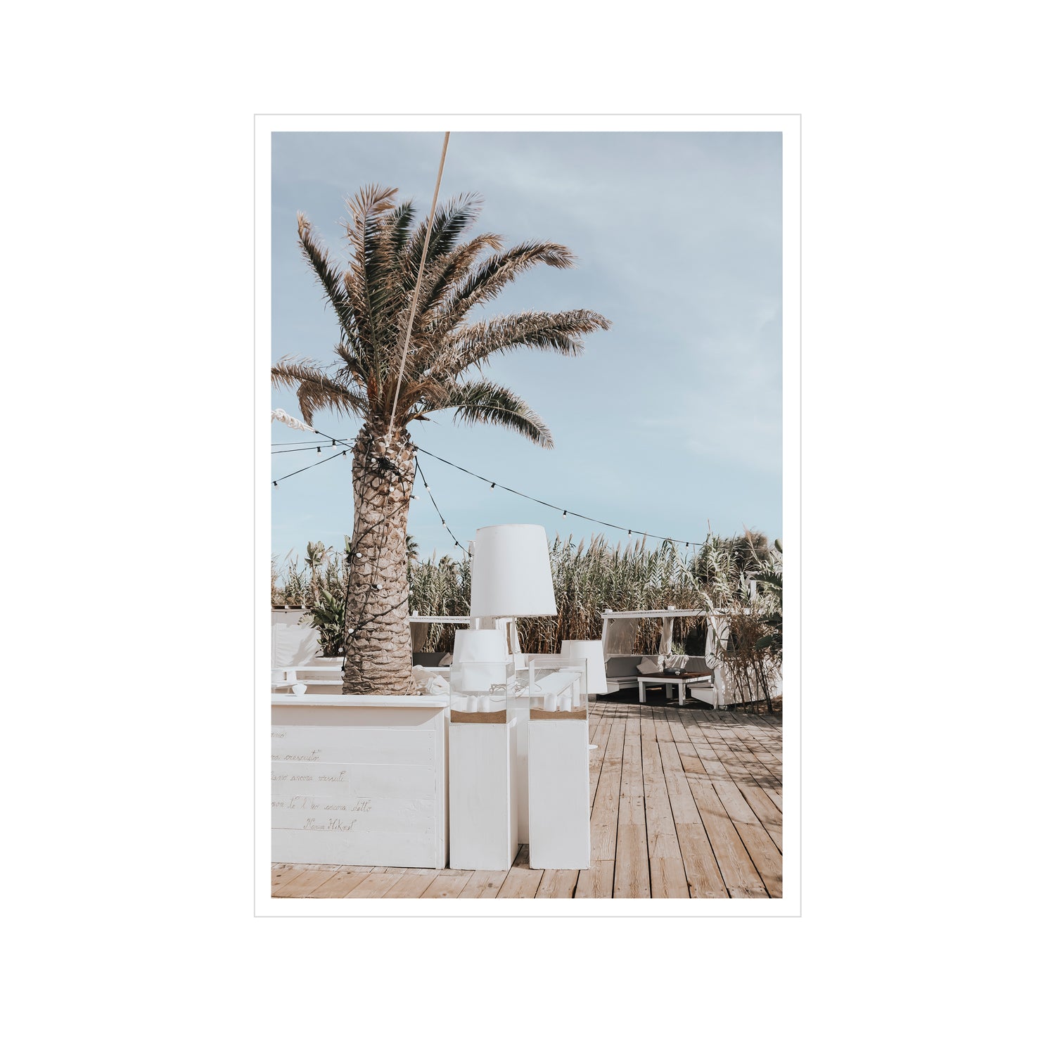 Seabreeze Palm