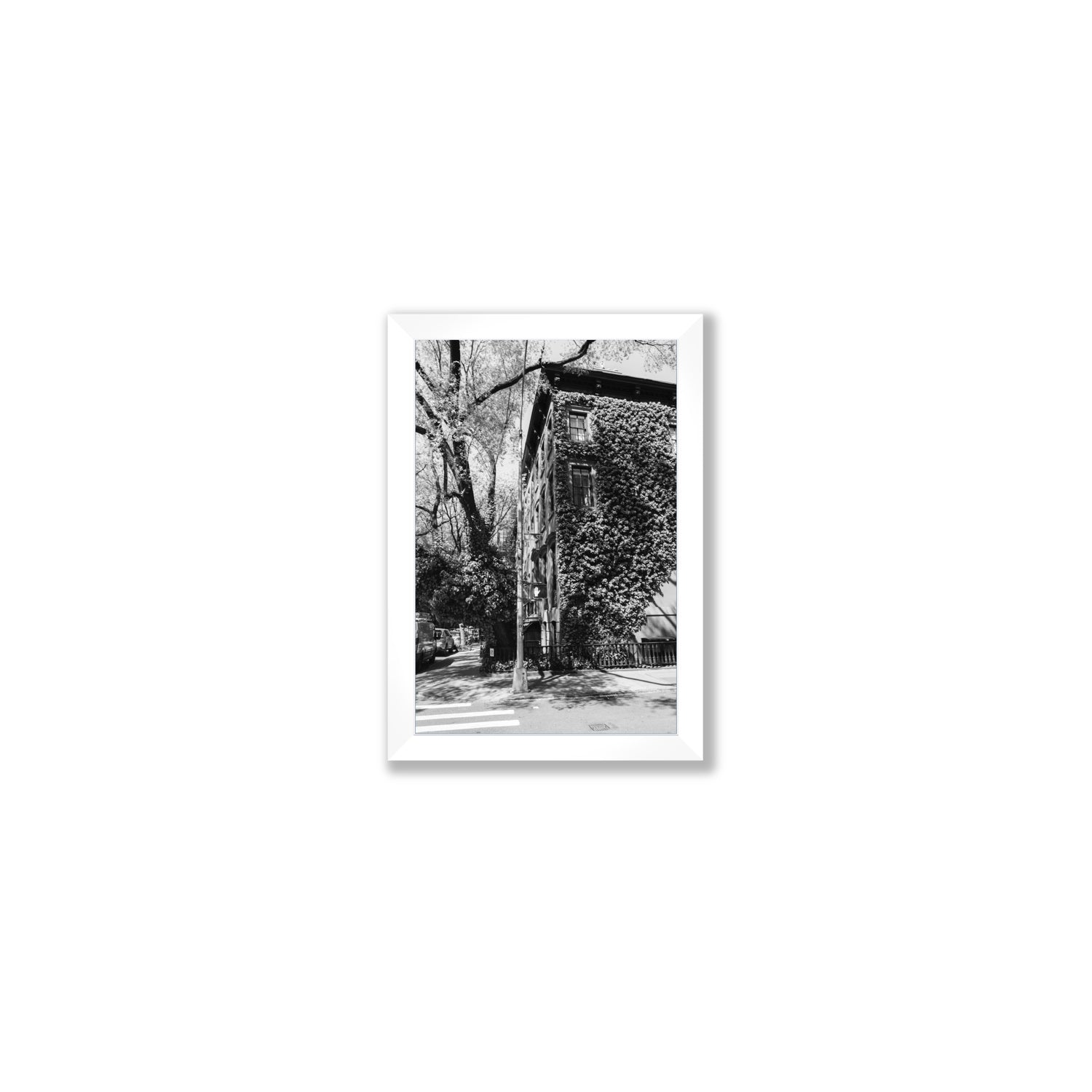 Vertical Garden New York NYC Black & White wall art Small full-bleed fine art print in white frame