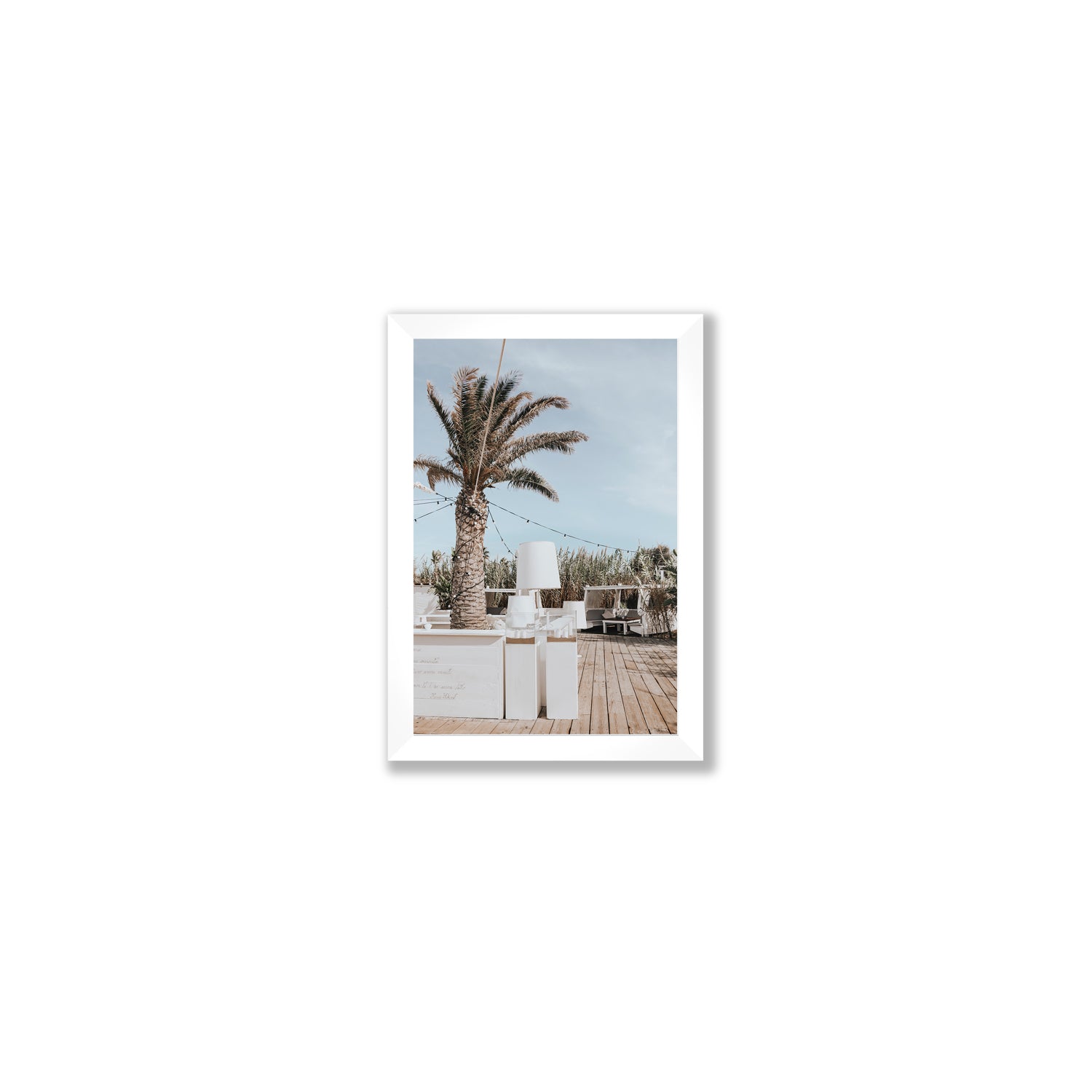 Seabreeze Palm