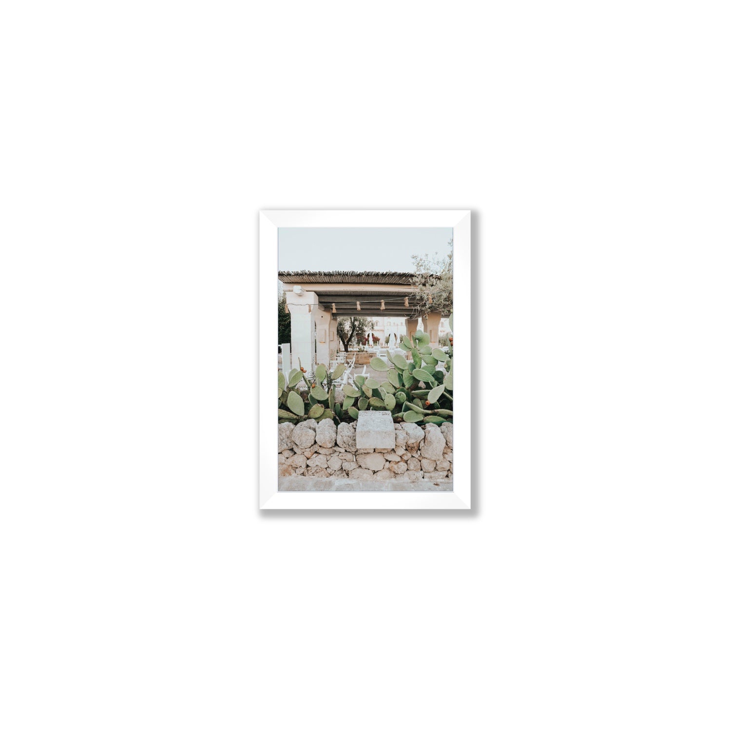 Puglia Flora Puglia Borgo Egnazia Mediterranean wall art Small full-bleed fine art print in white frame