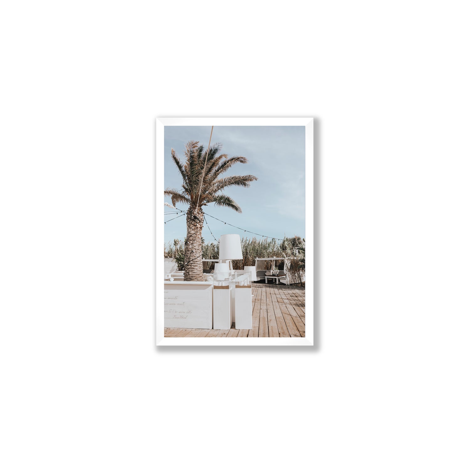 Seabreeze Palm