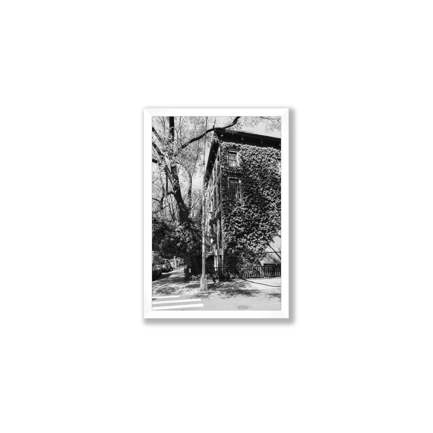 Vertical Garden New York NYC Black & White wall art Medium full-bleed fine art print in white frame
