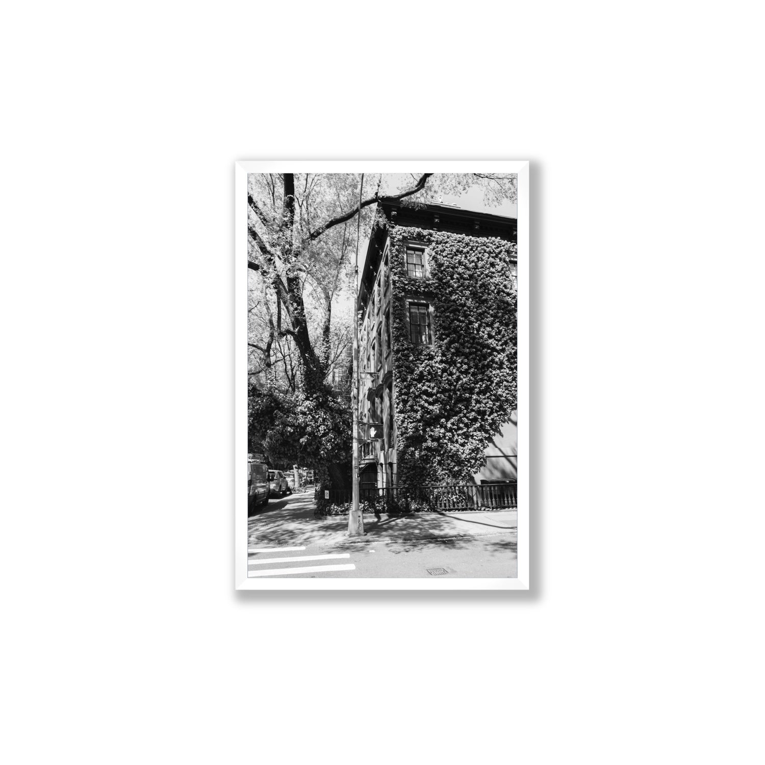 Vertical Garden New York NYC Black & White wall art Large full-bleed fine art print in white frame