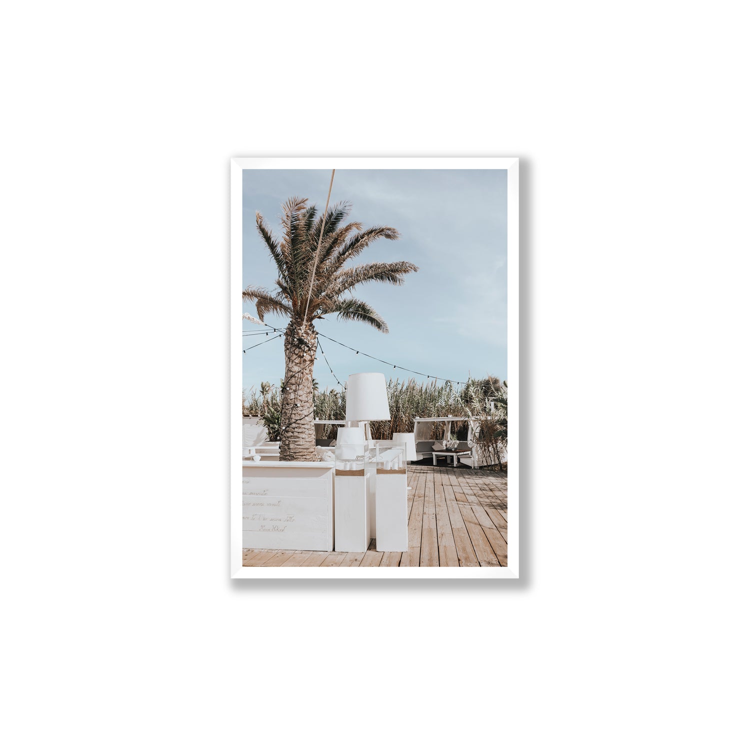 Seabreeze Palm