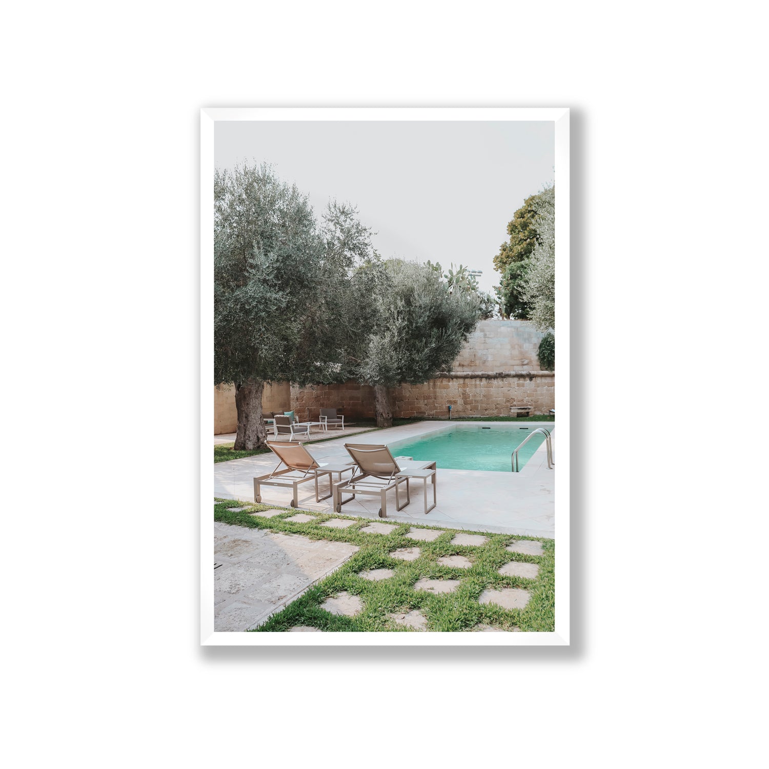 Olive Oasis