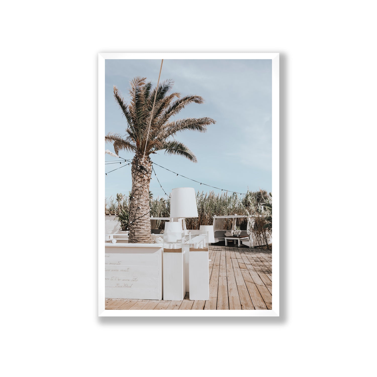 Seabreeze Palm