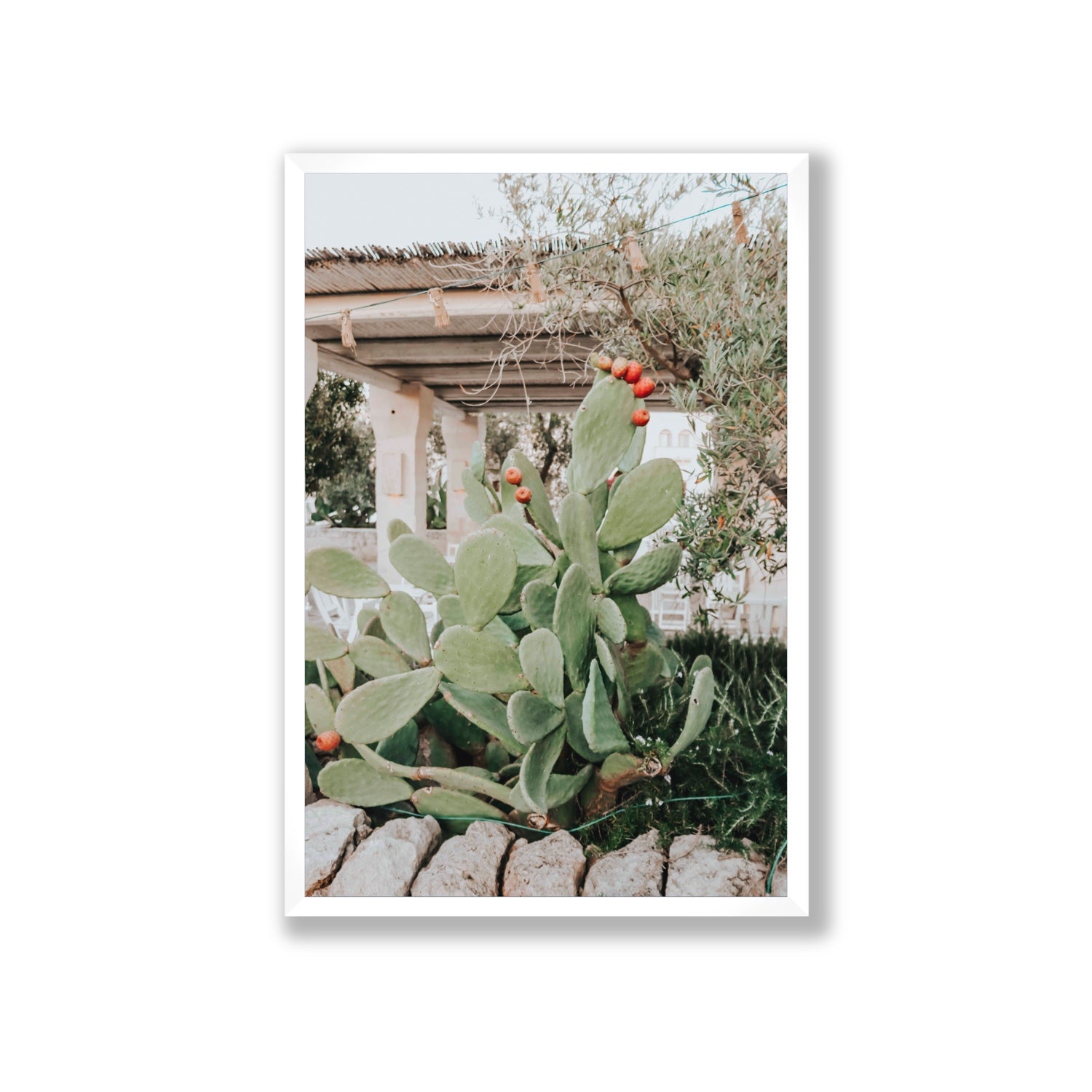 Opuntia Beauty Puglia wall art Giant full-bleed fine art print in white frame