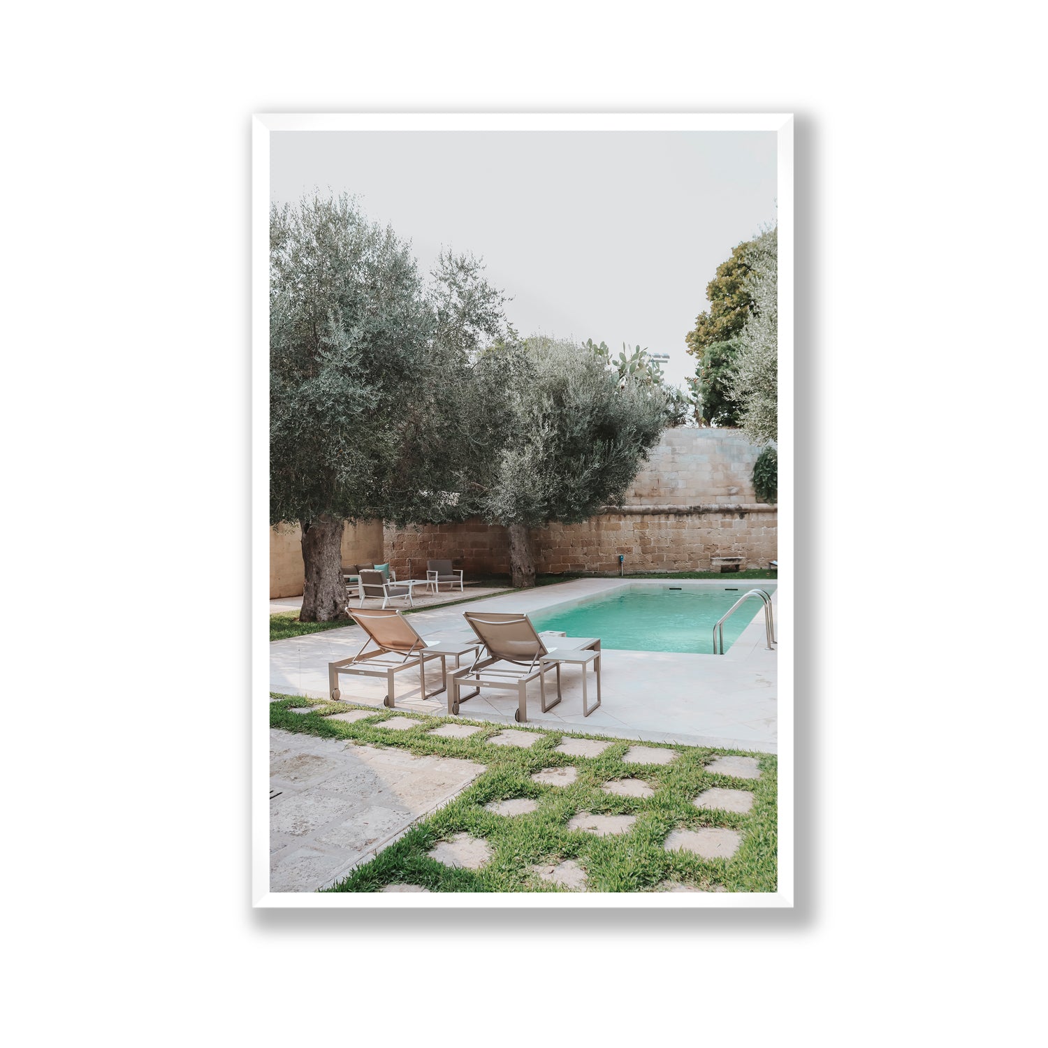 Olive Oasis