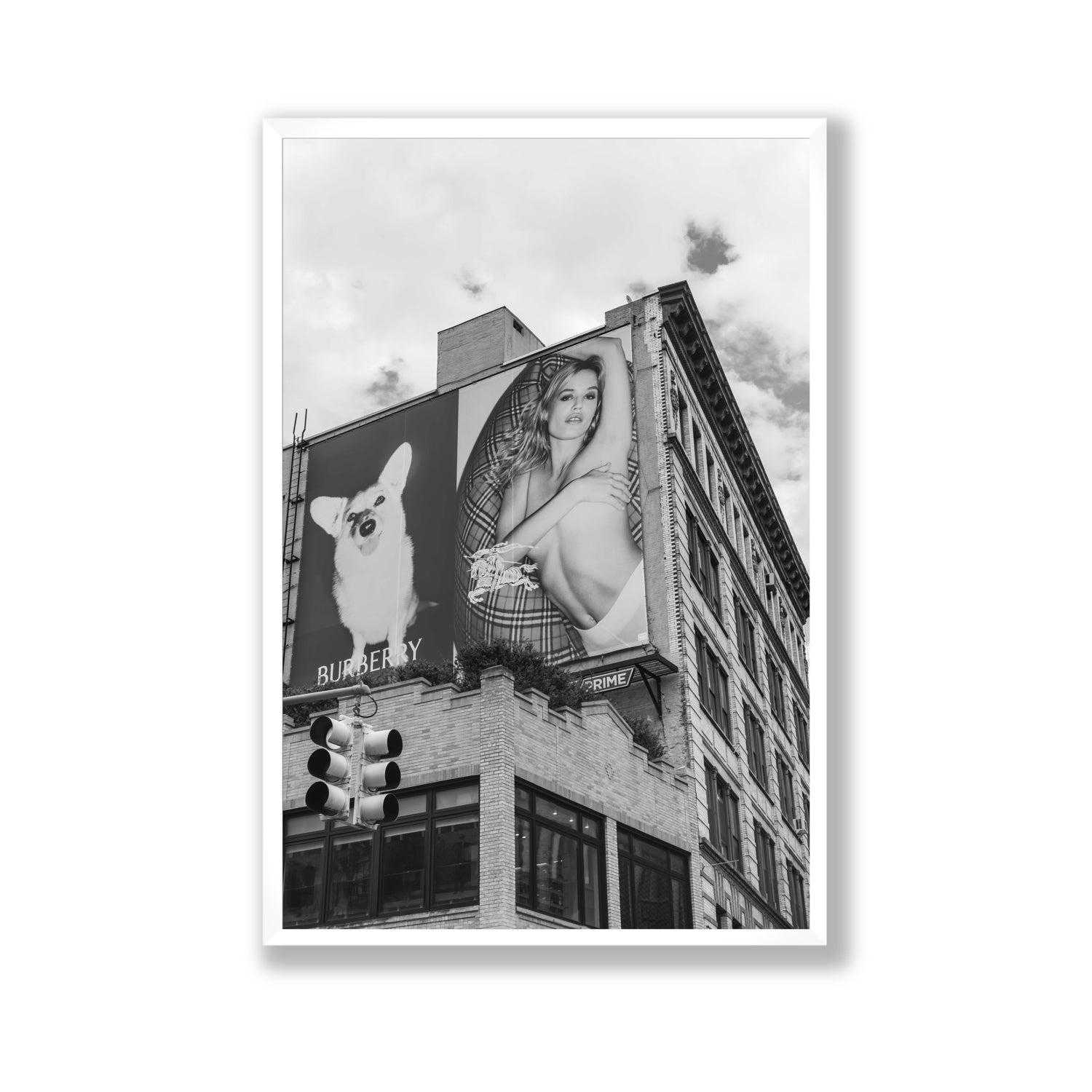 Dynamic Duo fine art print, New York, United States, Gallery, White Frame · Full Bleed, Fine Art Print