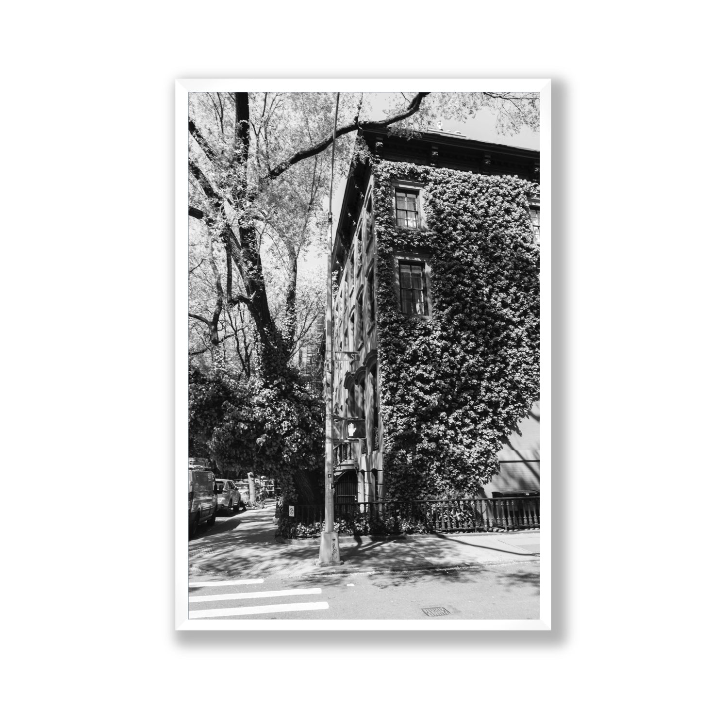 Vertical Garden New York NYC Black & White wall art Gallery full-bleed fine art print in white frame