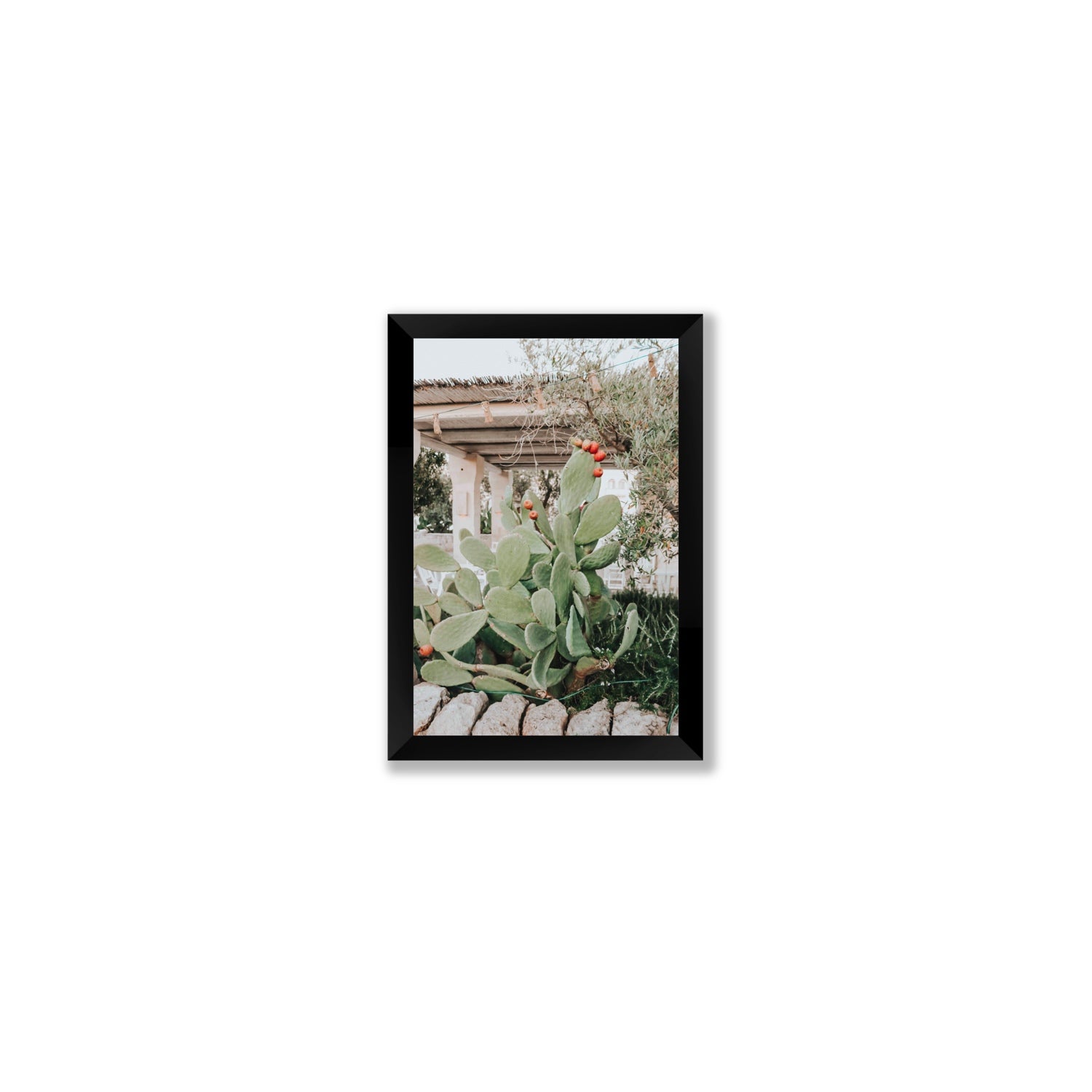 Opuntia Beauty Puglia wall art Small full-bleed fine art print in black frame