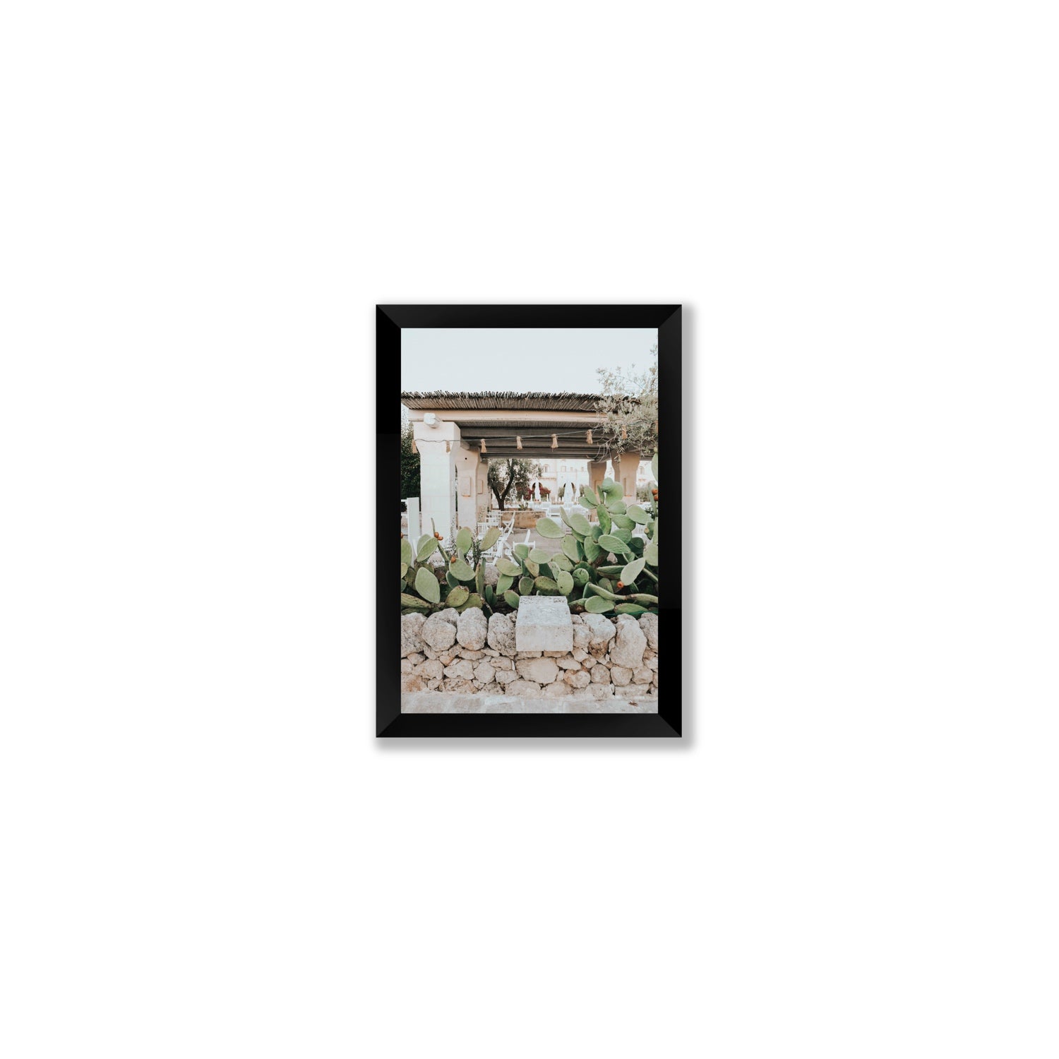 Puglia Flora Puglia Borgo Egnazia Mediterranean wall art Small full-bleed fine art print in black frame