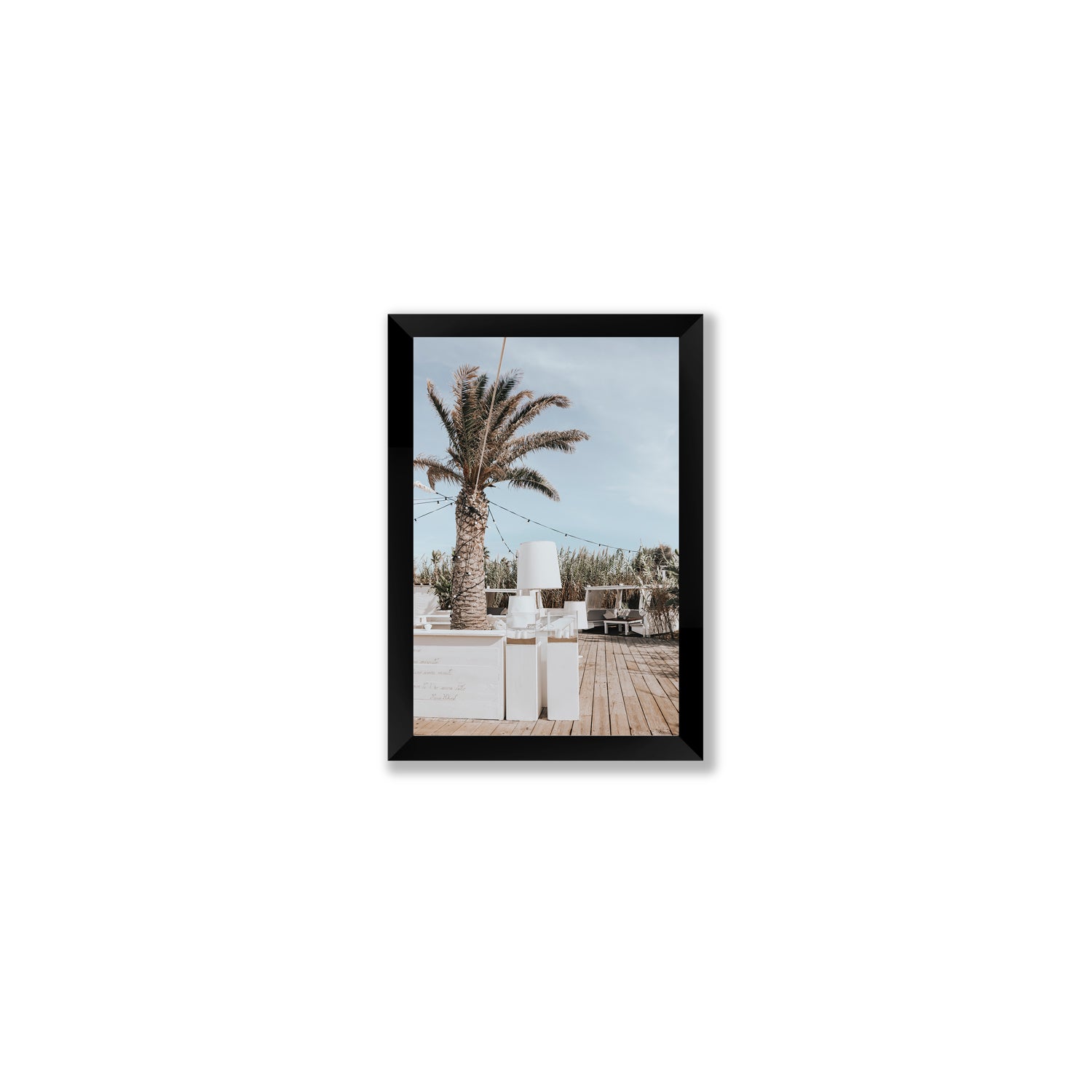 Seabreeze Palm