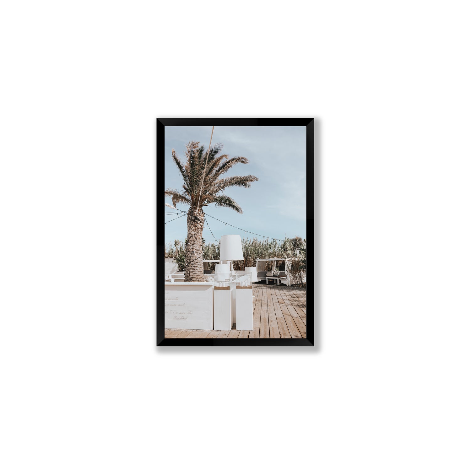Seabreeze Palm