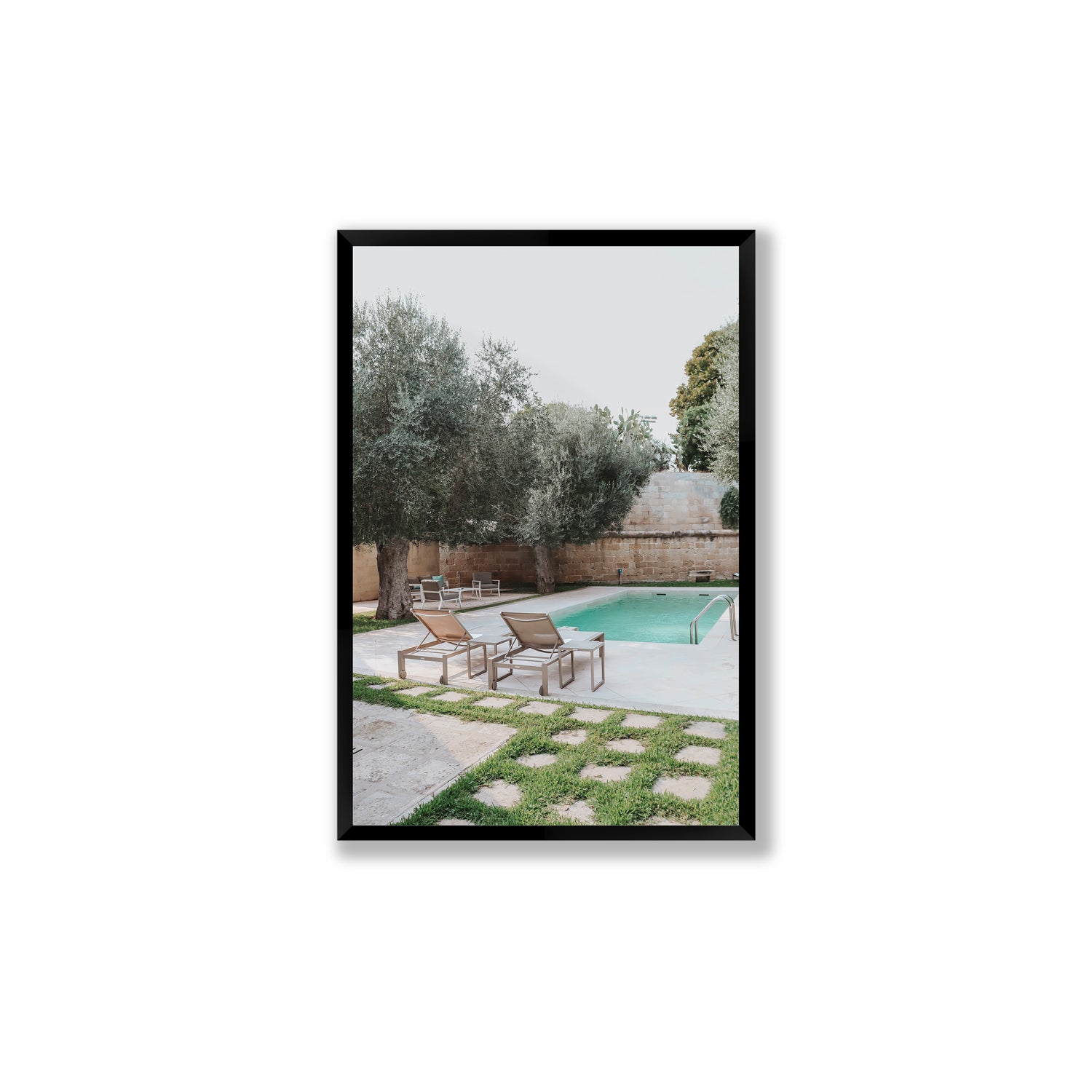 Olive Oasis