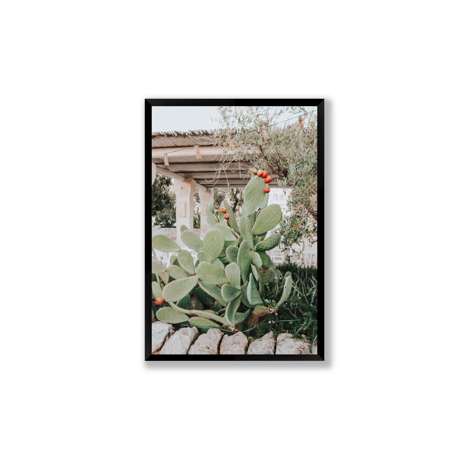 Opuntia Beauty Puglia wall art Large full-bleed fine art print in black frame