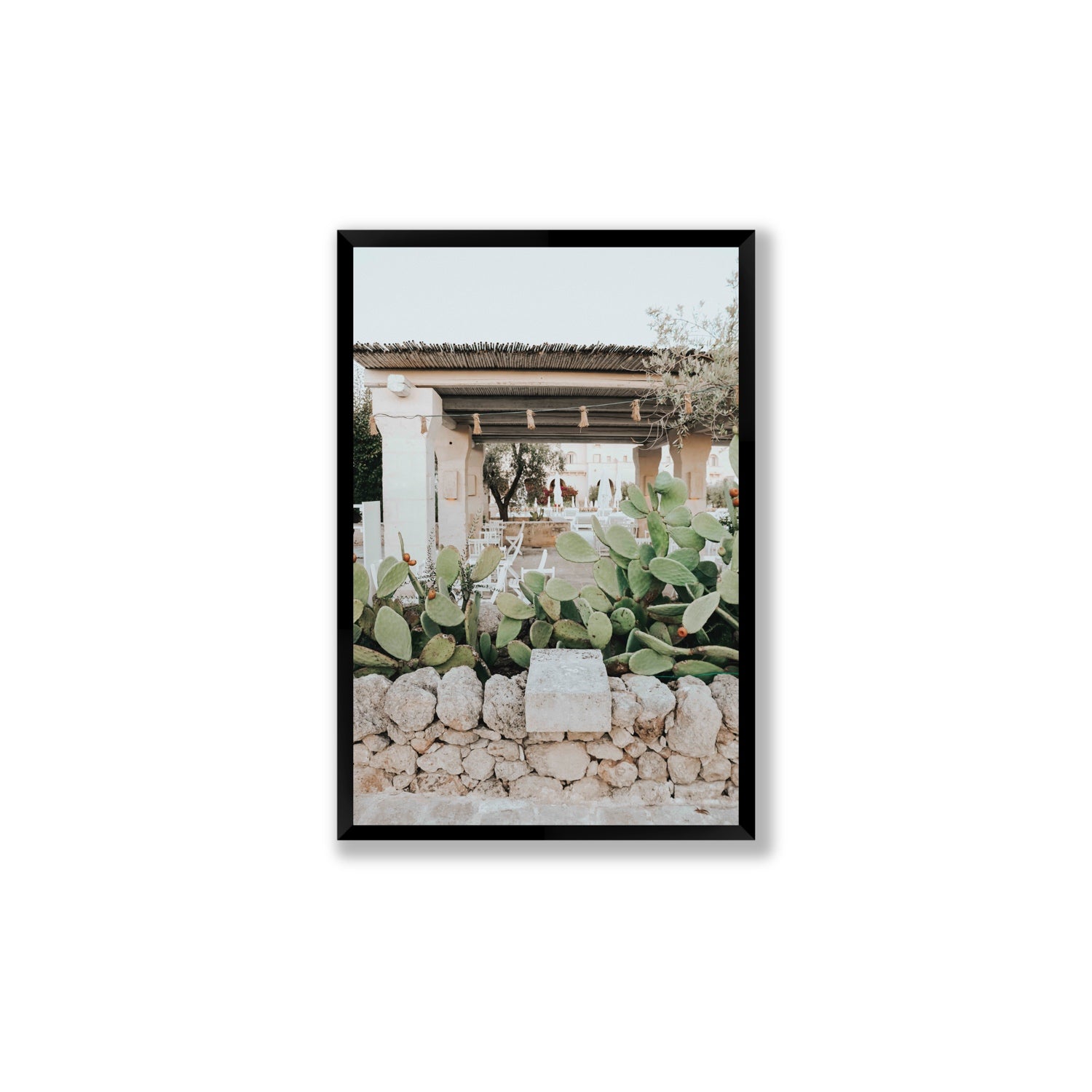Puglia Flora Puglia Borgo Egnazia Mediterranean wall art Large full-bleed fine art print in black frame