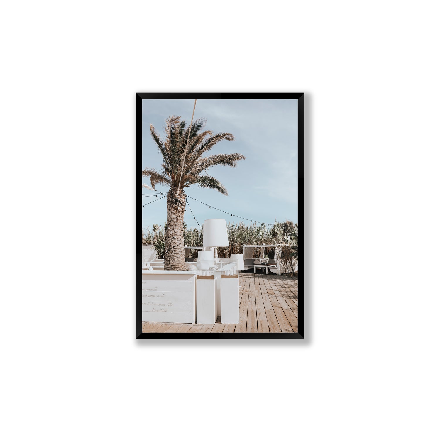 Seabreeze Palm