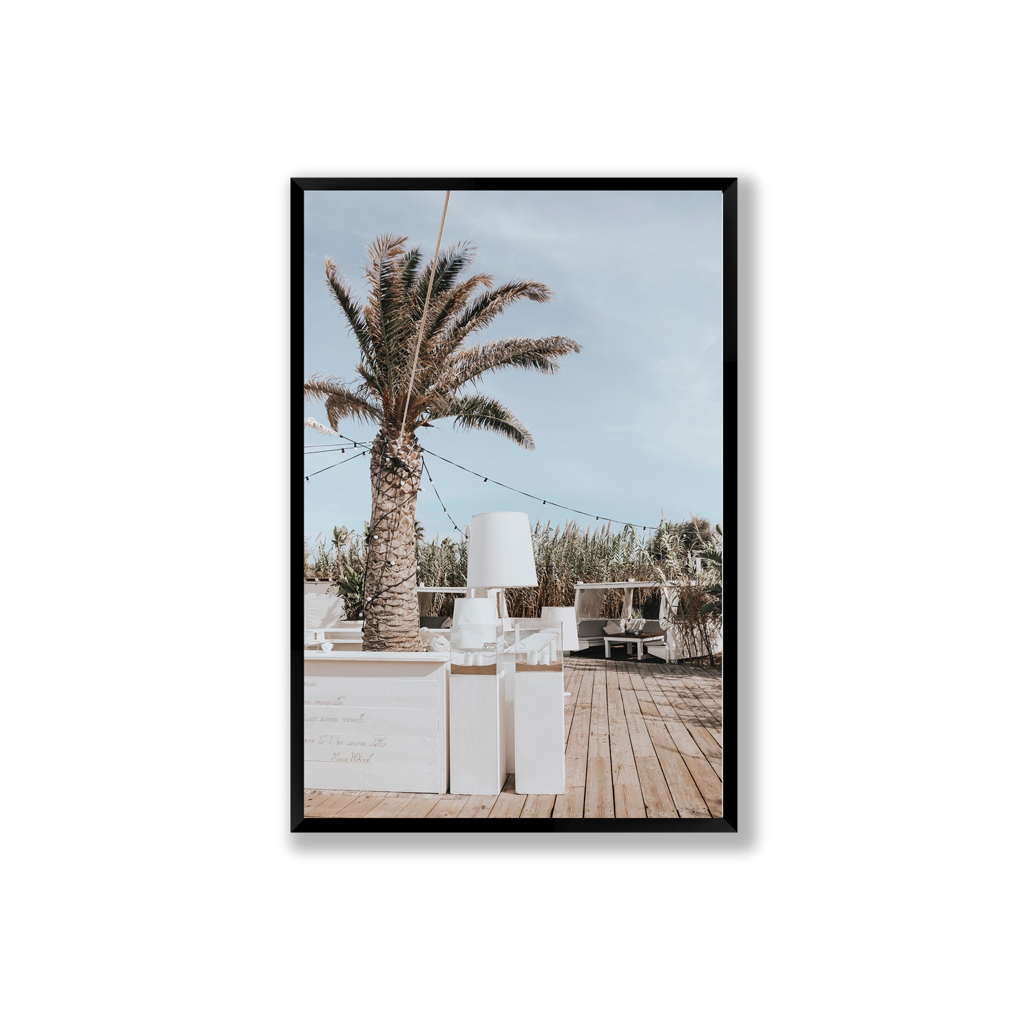 Seabreeze Palm