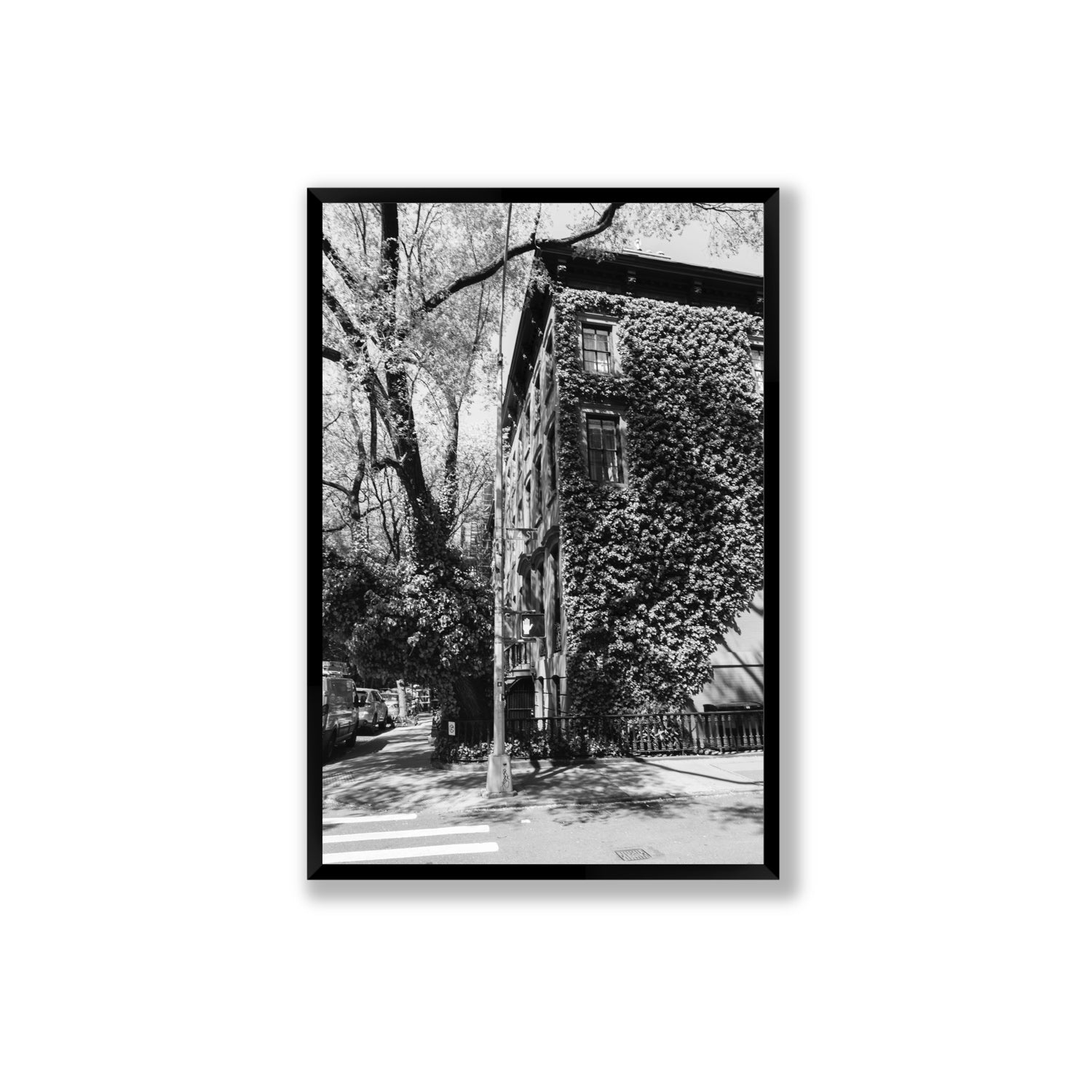 Vertical Garden New York NYC Black & White wall art Extra Large full-bleed fine art print in black frame