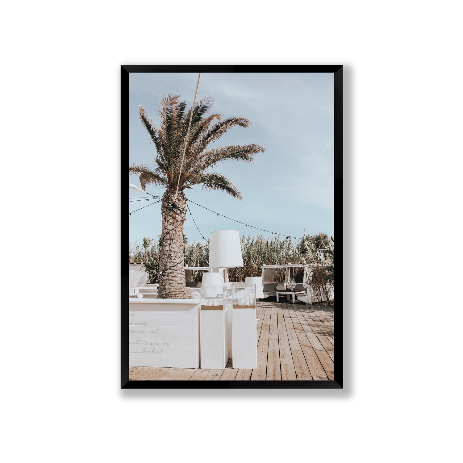 Seabreeze Palm