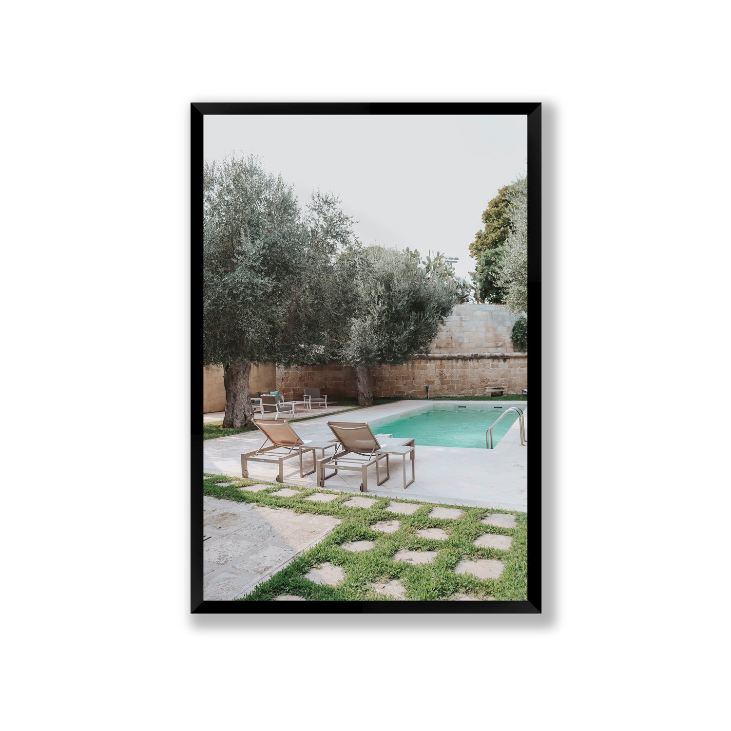 Olive Oasis
