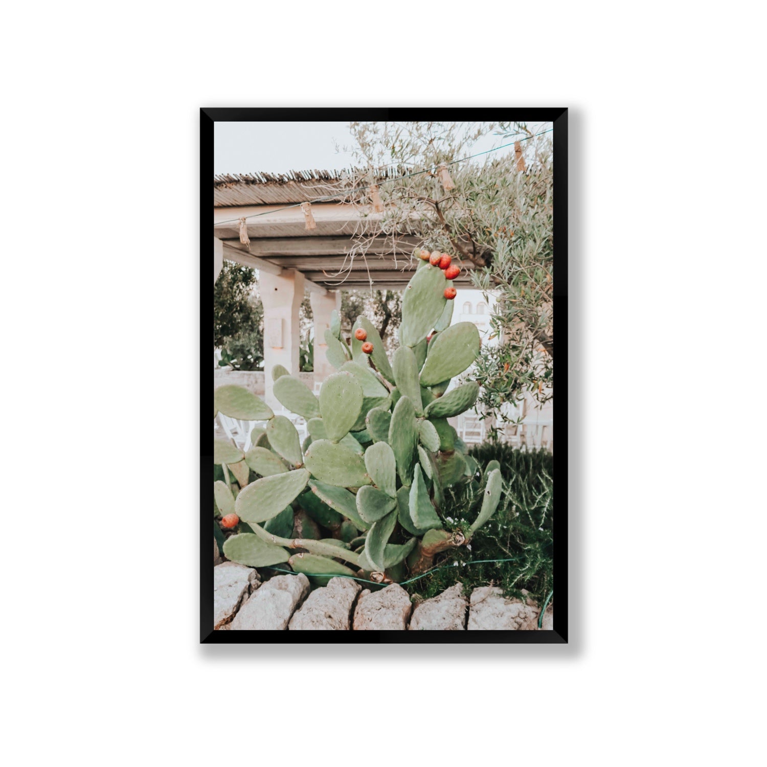 Opuntia Beauty Puglia wall art Giant full-bleed fine art print in black frame