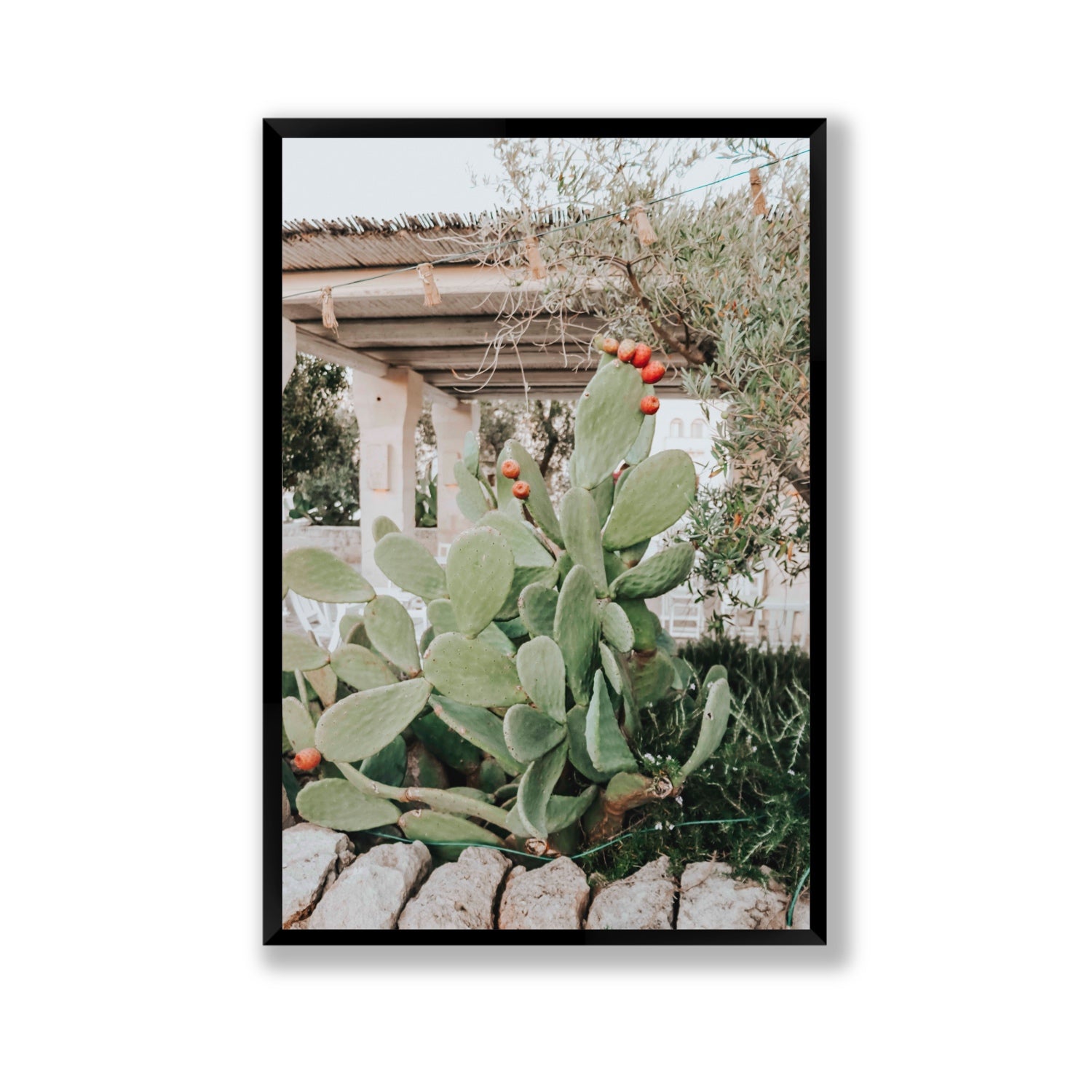 Opuntia Beauty Puglia wall art Gallery full-bleed fine art print in black frame