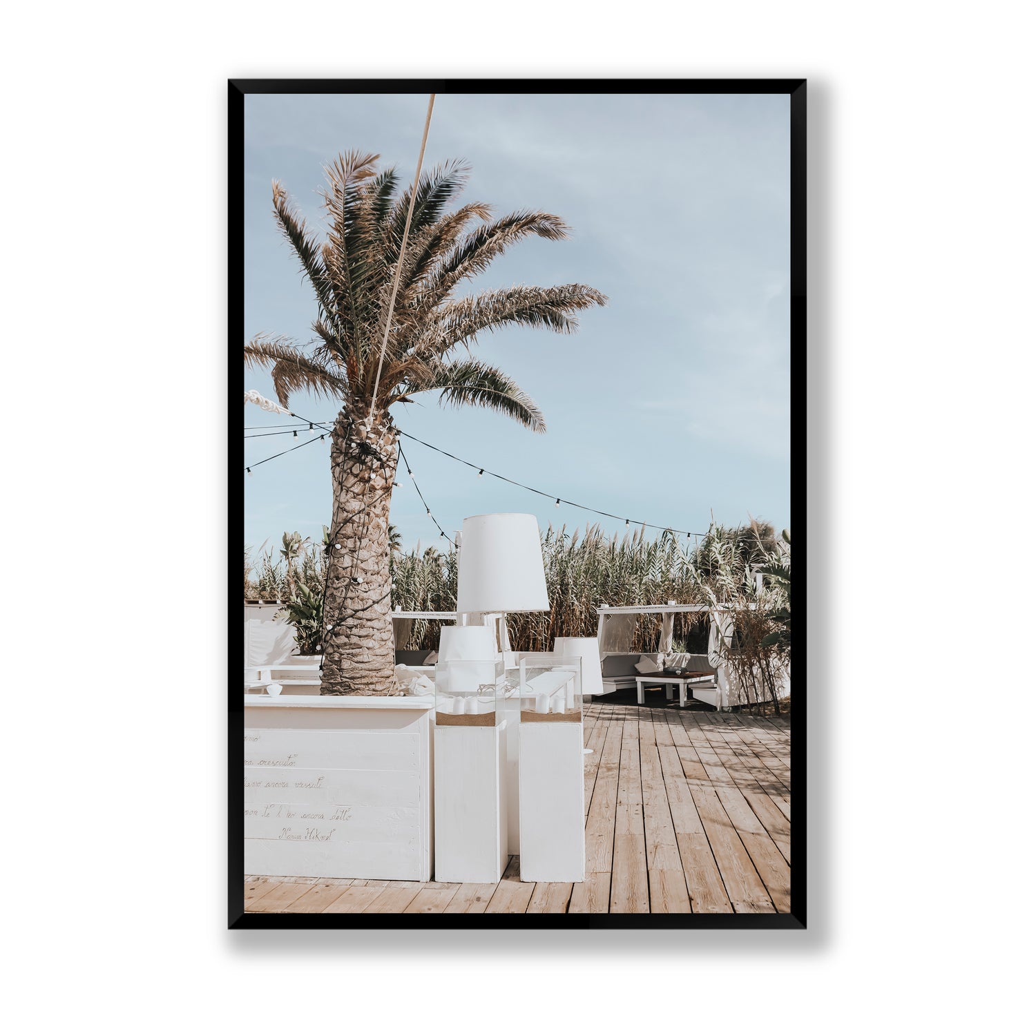 Seabreeze Palm