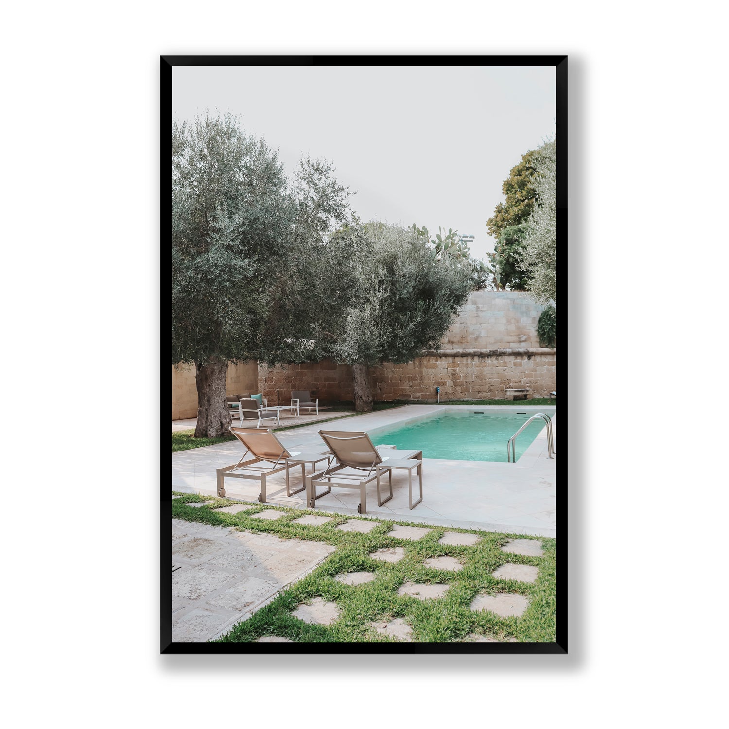 Olive Oasis