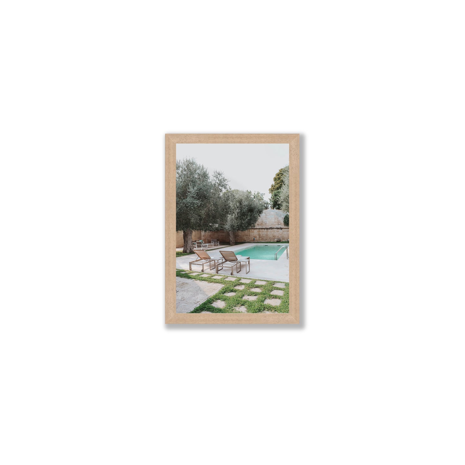 Olive Oasis