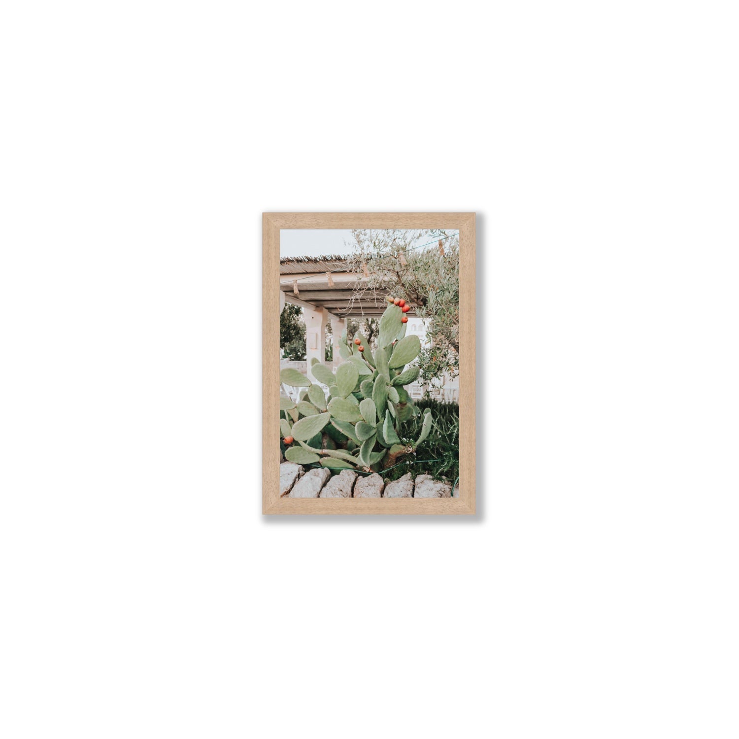 Opuntia Beauty Puglia wall art Small full-bleed fine art print in natural oak frame