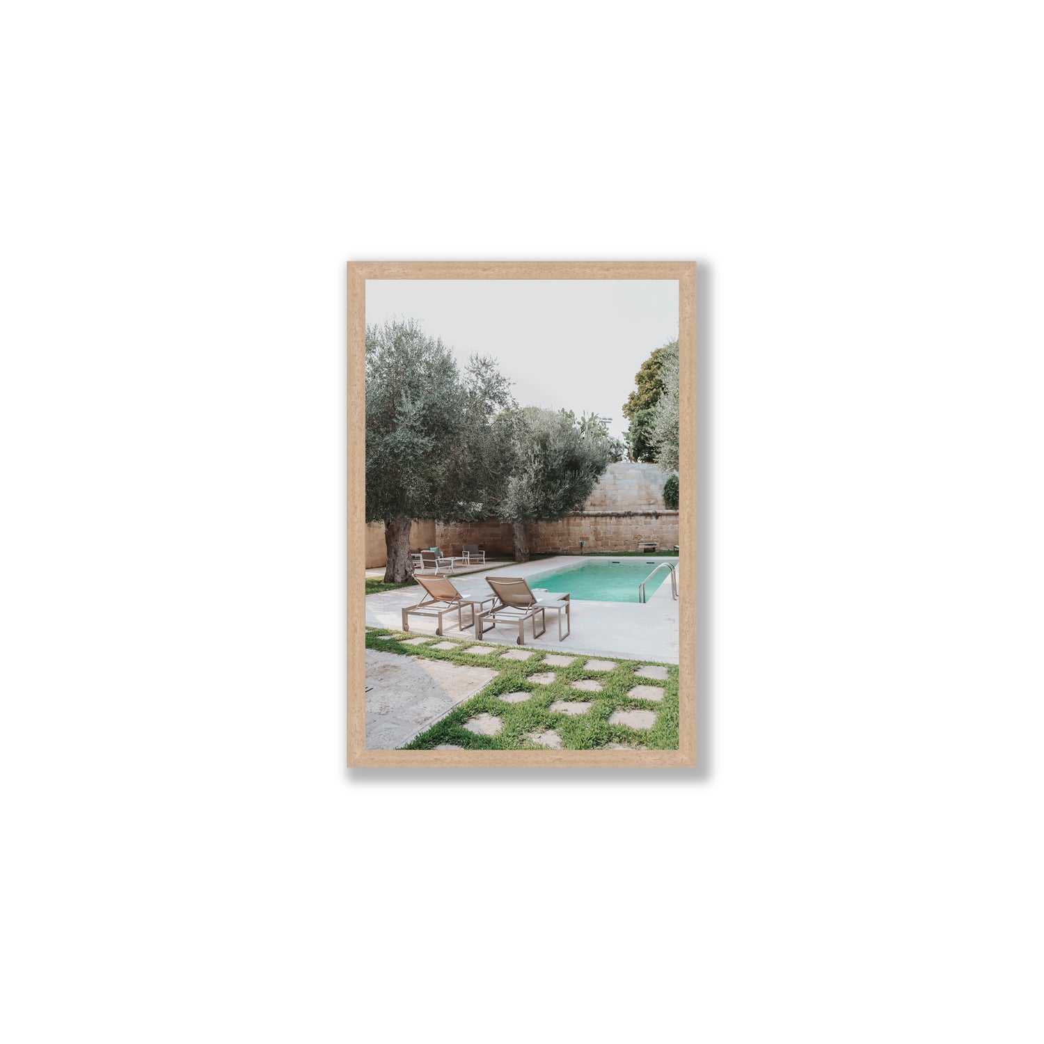 Olive Oasis