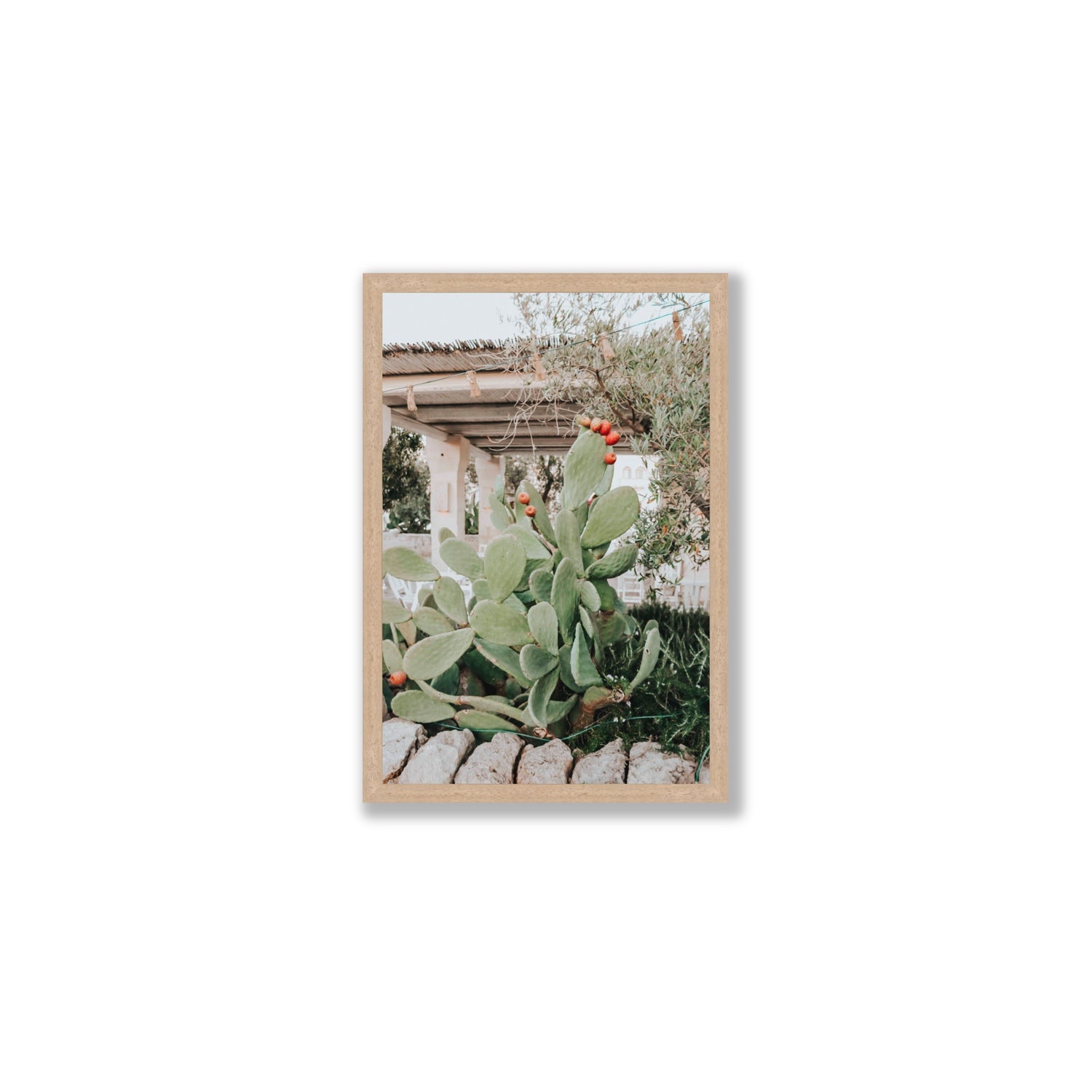 Opuntia Beauty Puglia wall art Medium full-bleed fine art print in natural oak frame