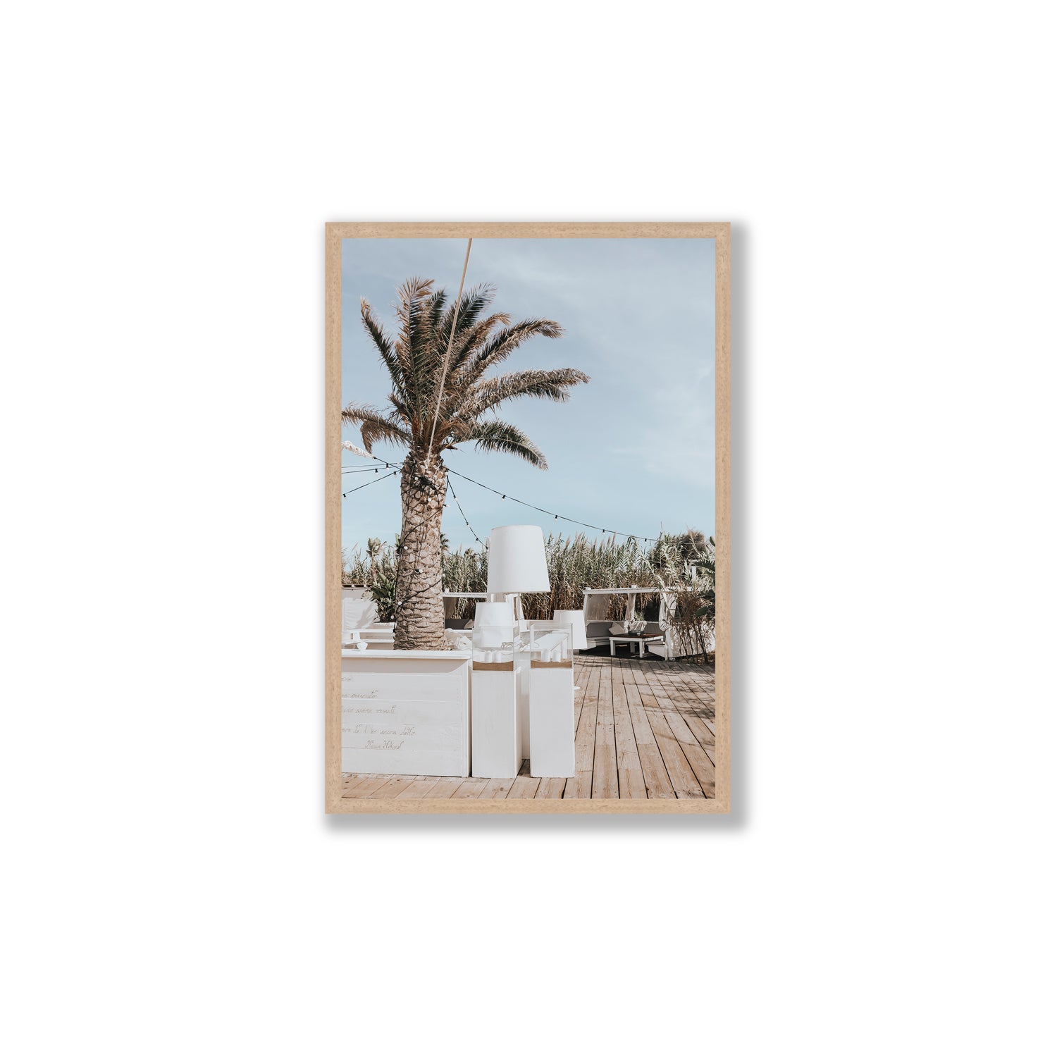 Seabreeze Palm