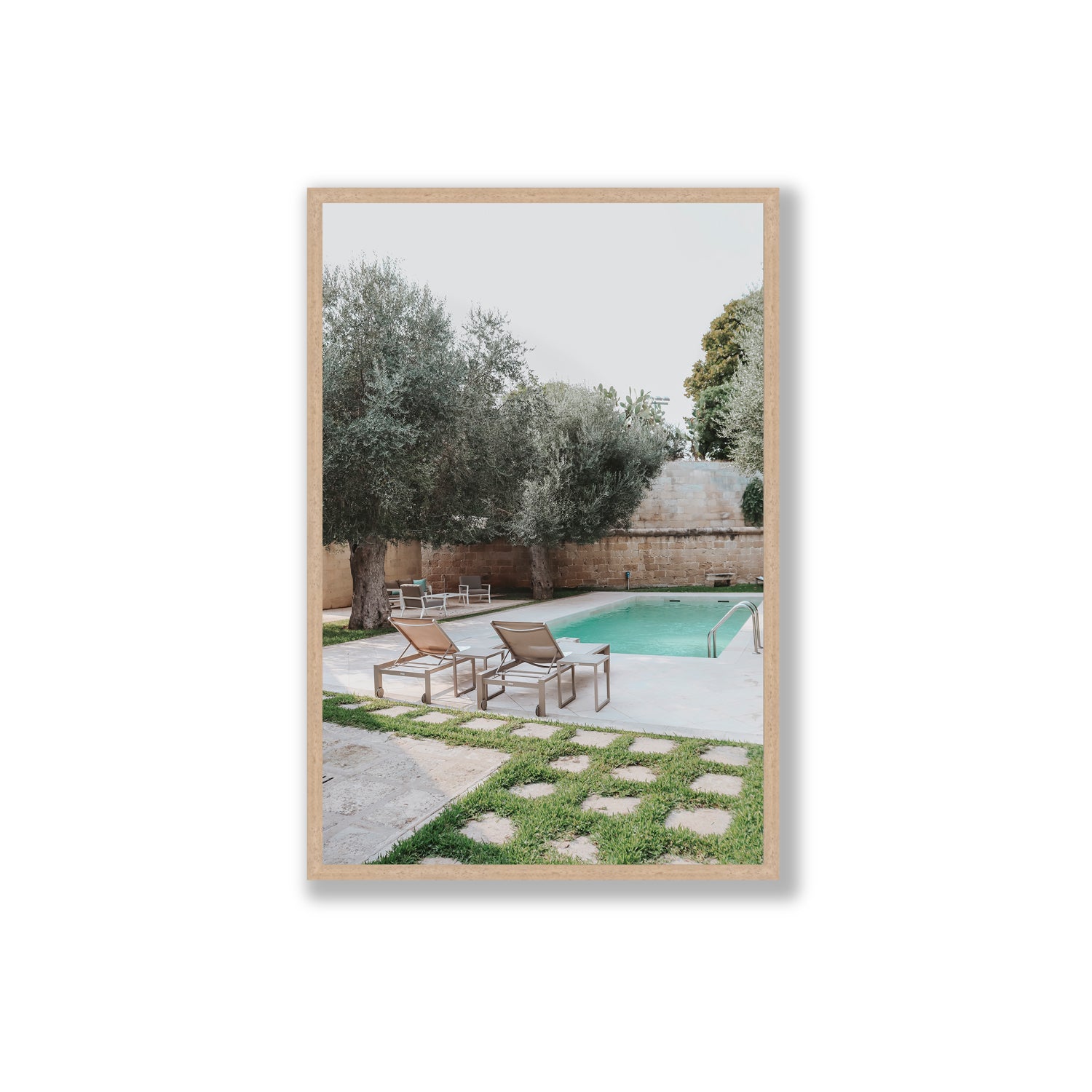 Olive Oasis