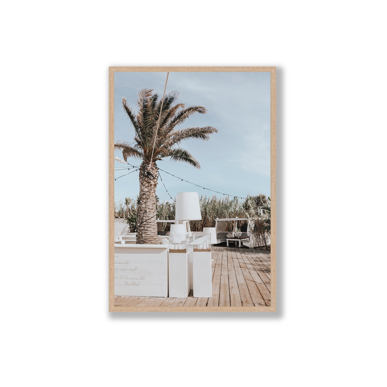 Seabreeze Palm