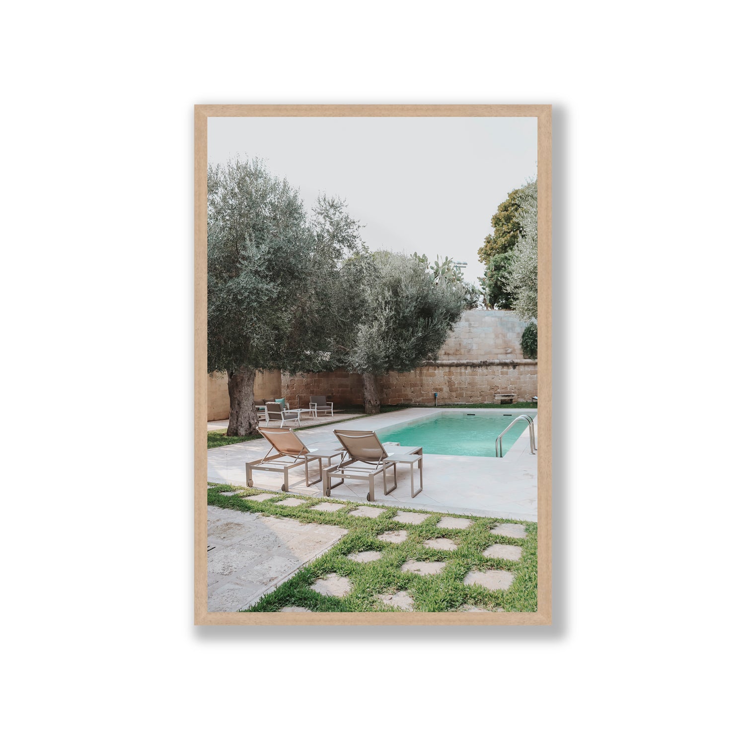 Olive Oasis