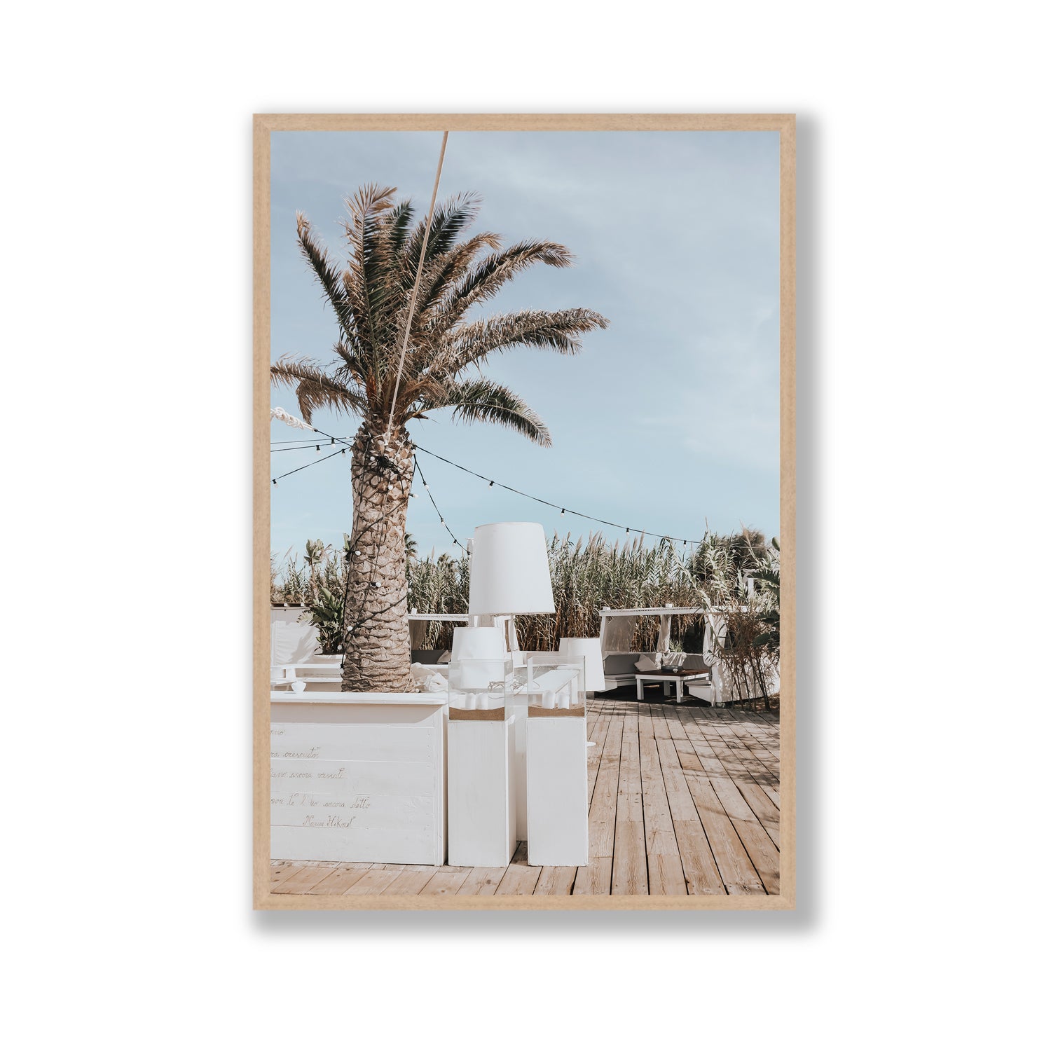 Seabreeze Palm