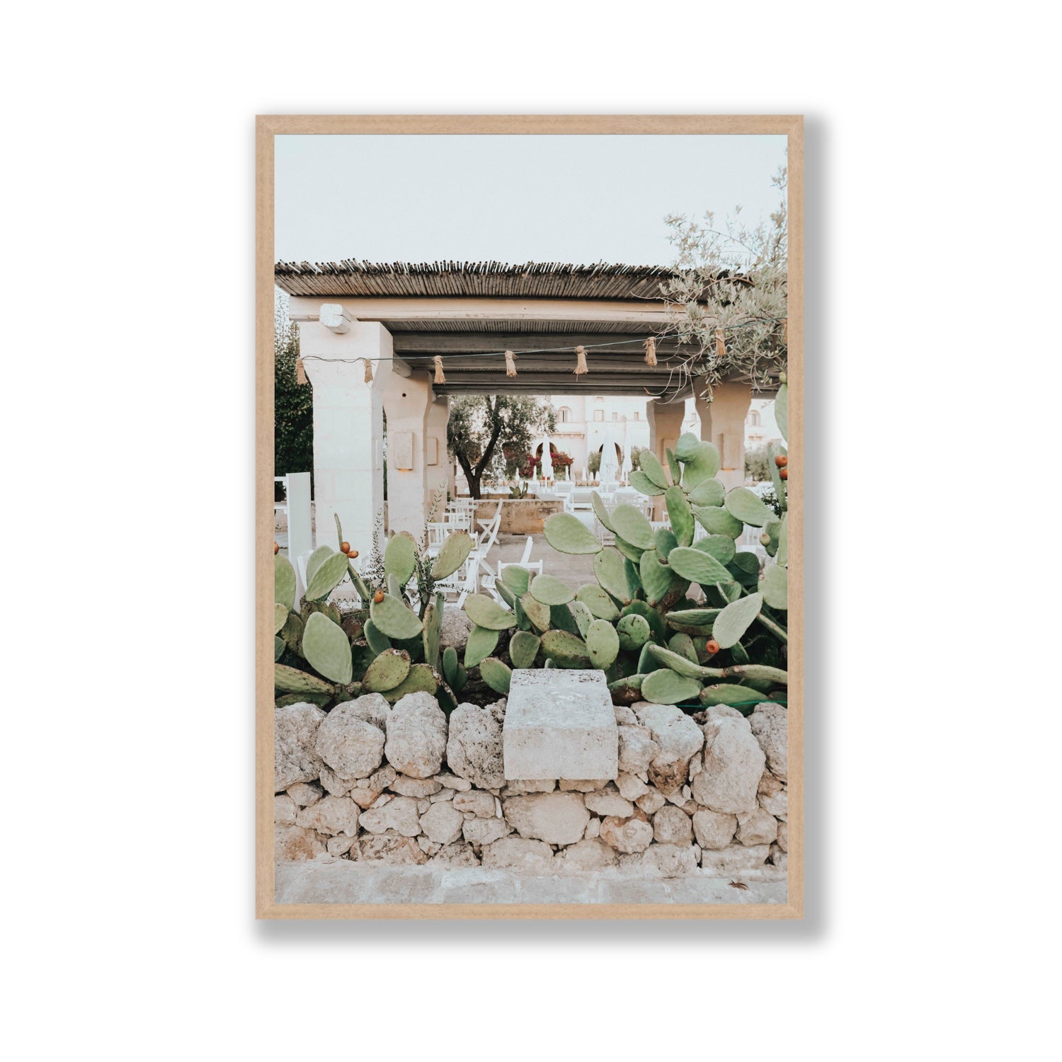 Puglia Flora Puglia Borgo Egnazia Mediterranean wall art Gallery full-bleed fine art print in natural oak frame