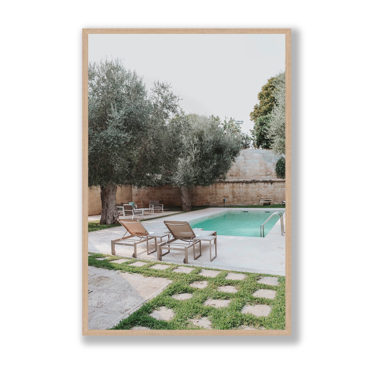 Olive Oasis