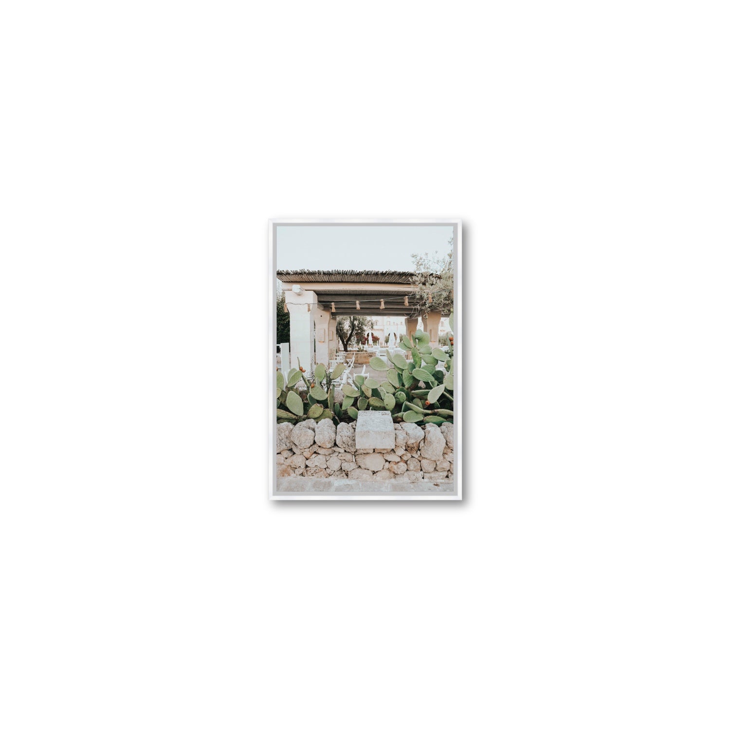 Puglia Flora Puglia Borgo Egnazia Mediterranean wall art Small fine art canvas in white float frame
