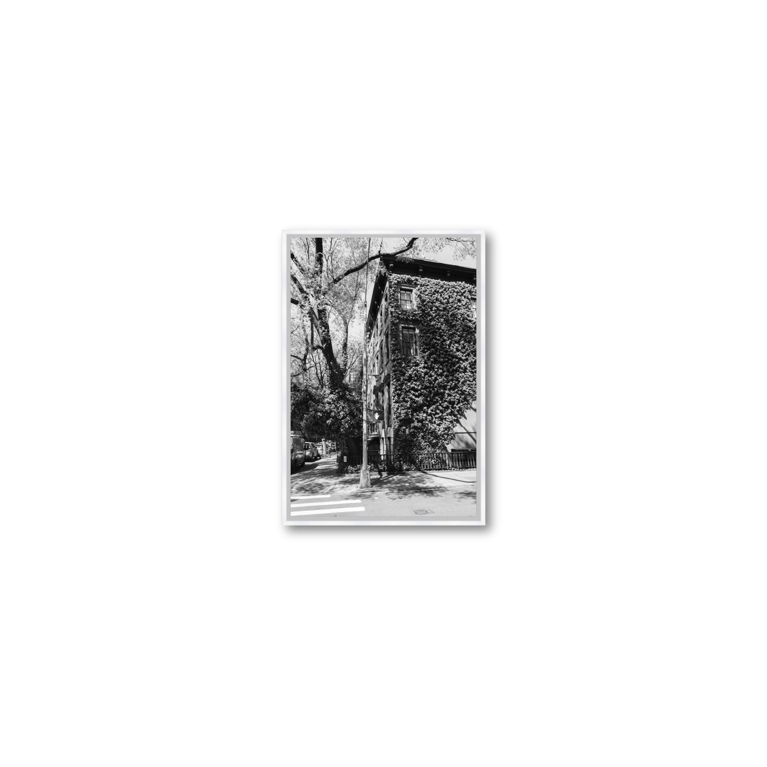 Vertical Garden New York NYC Black & White wall art Small fine art canvas in white float frame