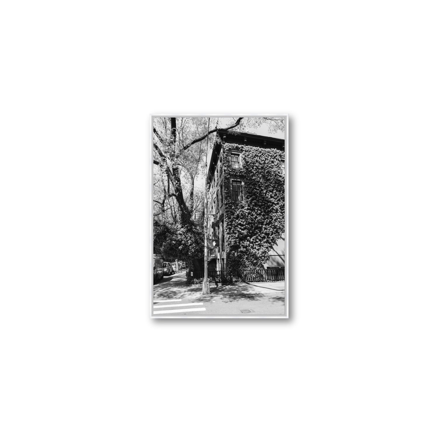 Vertical Garden New York NYC Black & White wall art Medium fine art canvas in white float frame
