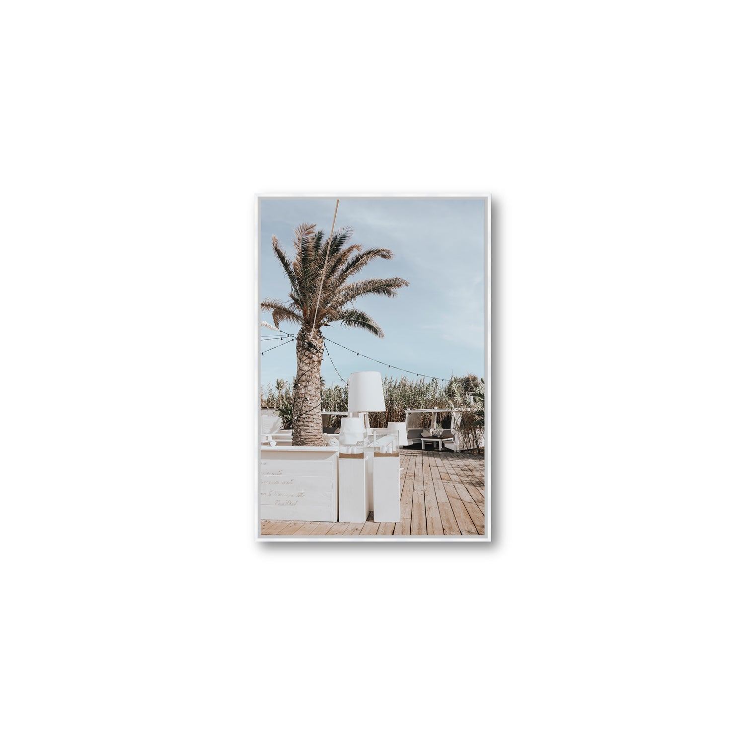 Seabreeze Palm