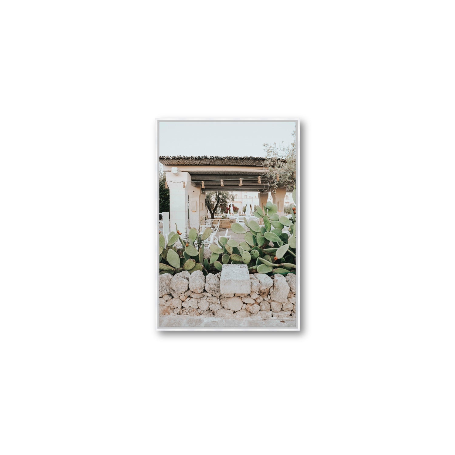 Puglia Flora Puglia Borgo Egnazia Mediterranean wall art Medium fine art canvas in white float frame